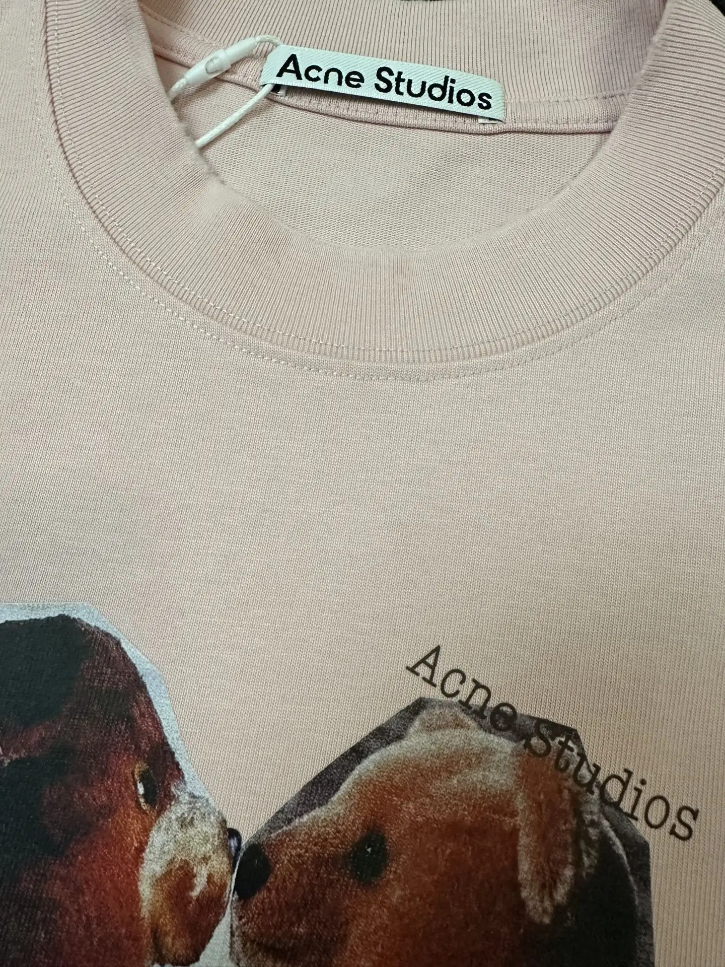 Bear Print Heavyweight Cotton T-Shirt D18011337 — view 6