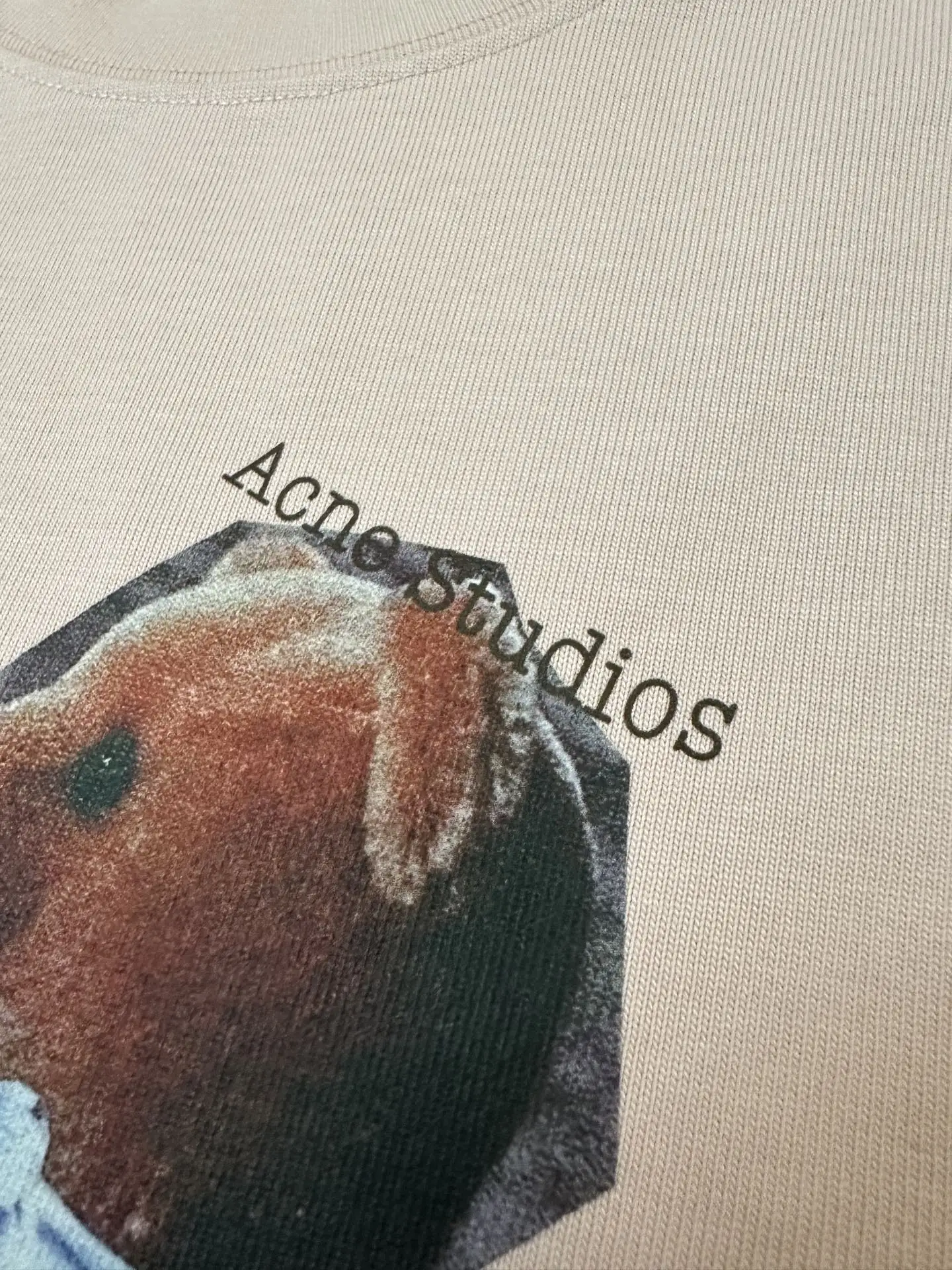 Bear Print Heavyweight Cotton T-Shirt D18011337 — view 8