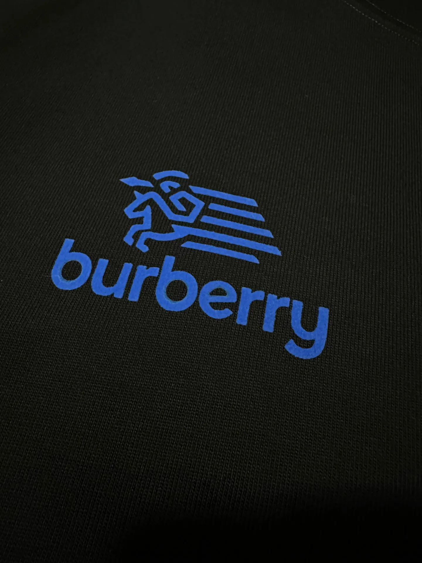 Logo Print Heavyweight Cotton T-Shirt D19023722 — view 7