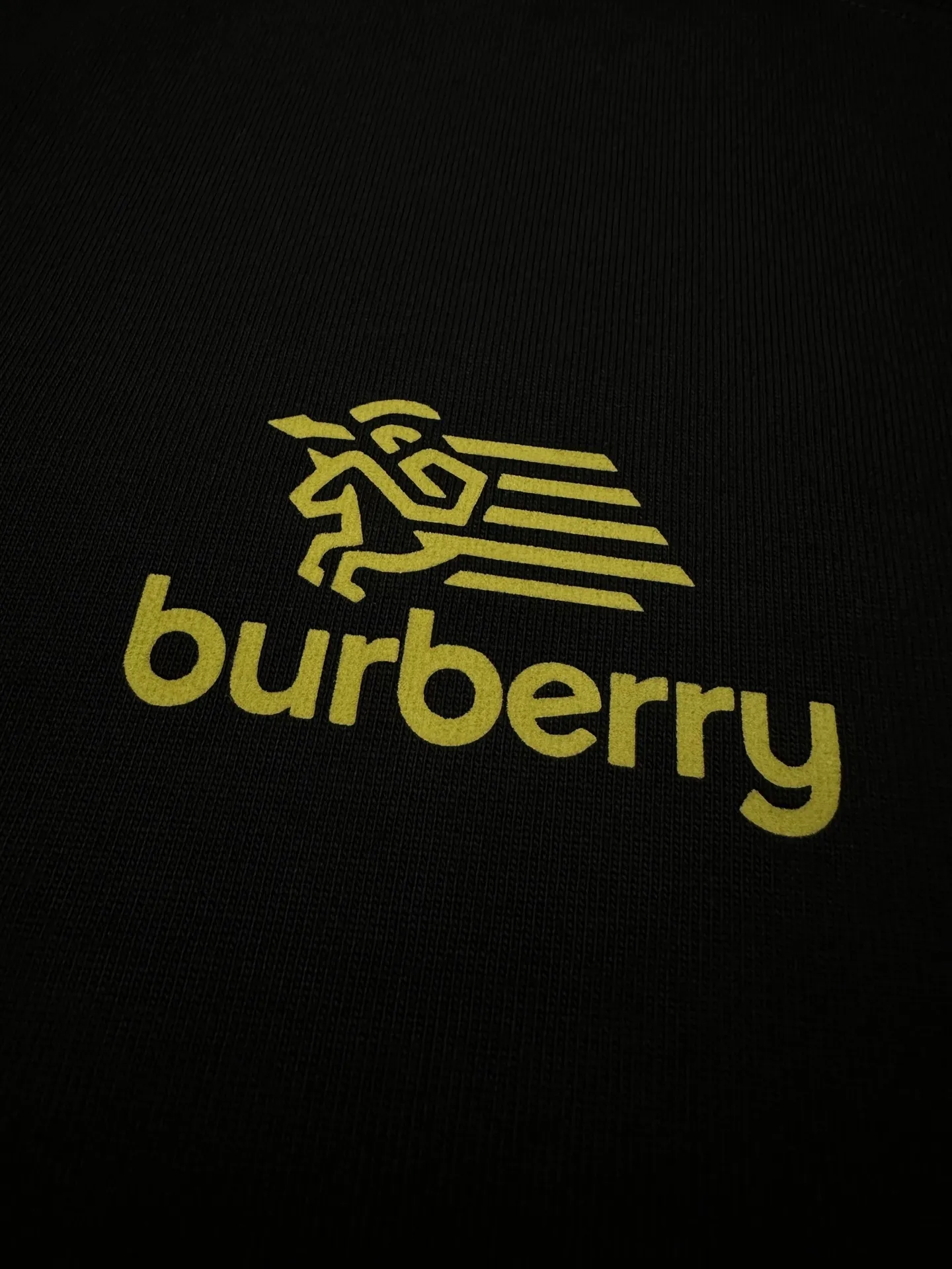 Logo Embroidered Cotton T-Shirt D21022282 — view 7