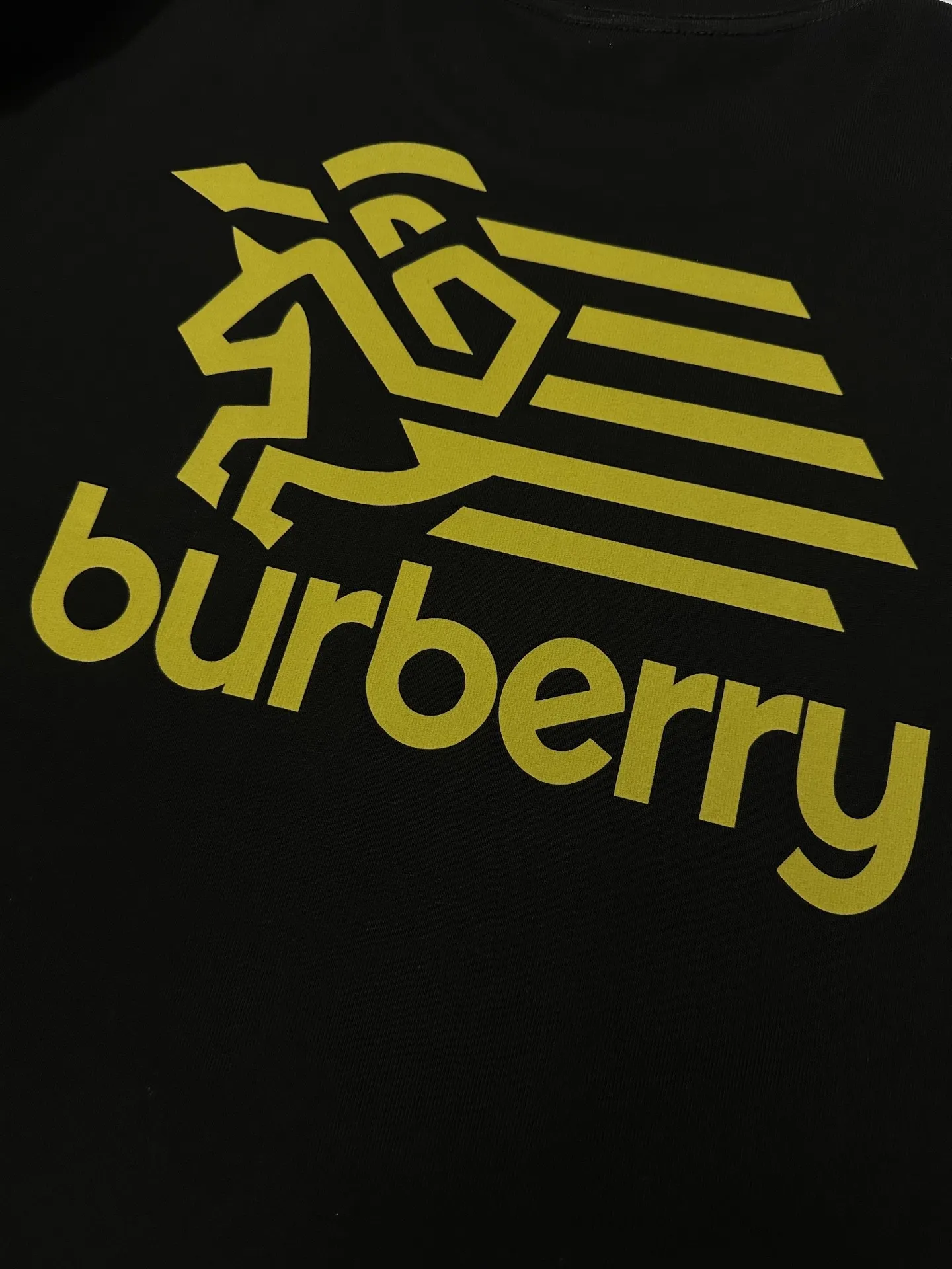 Logo Embroidered Cotton T-Shirt D21022282 — view 8