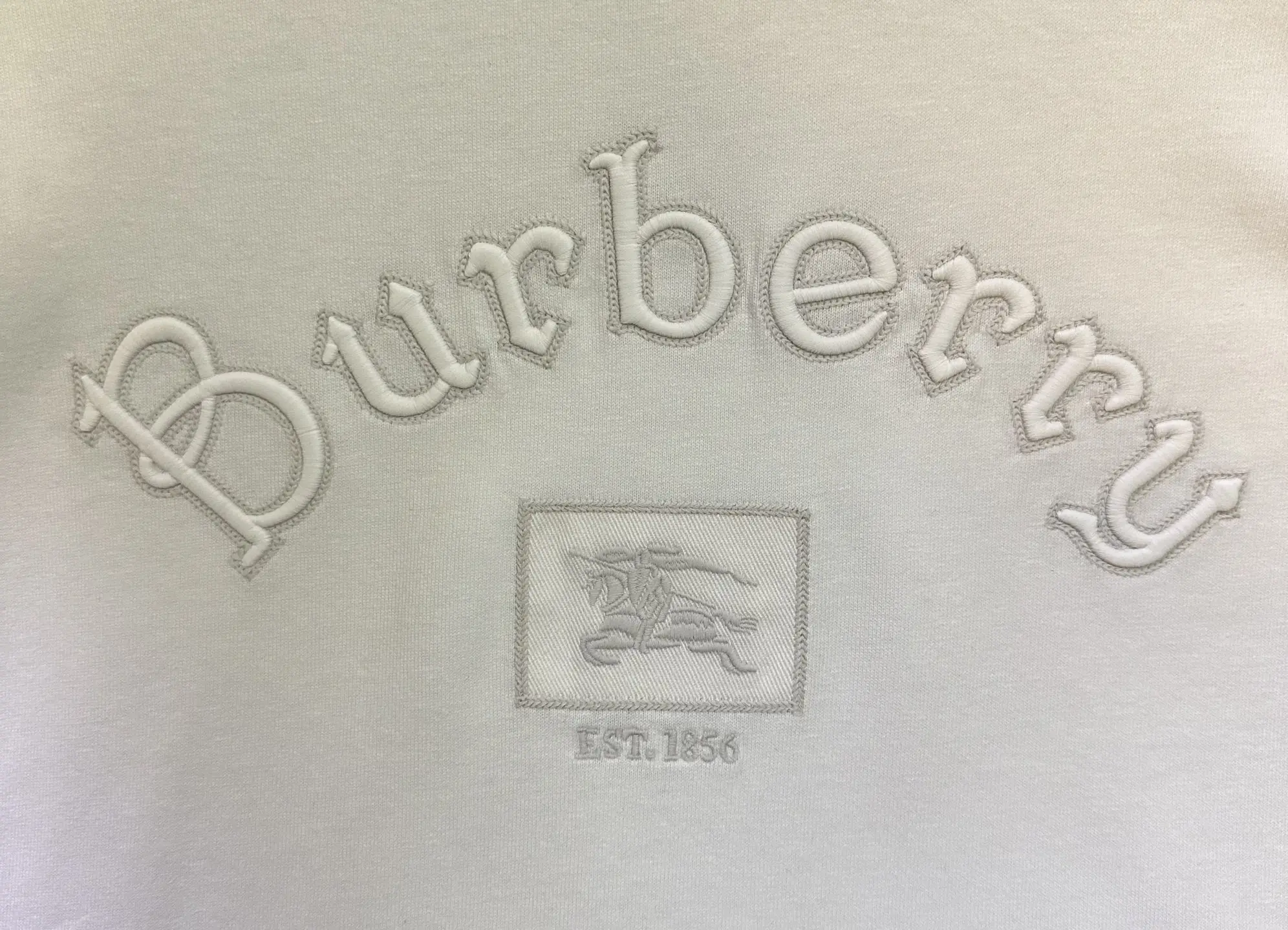 Logo-Embroidered Cotton-Jersey T-Shirt D21012478 — view 8