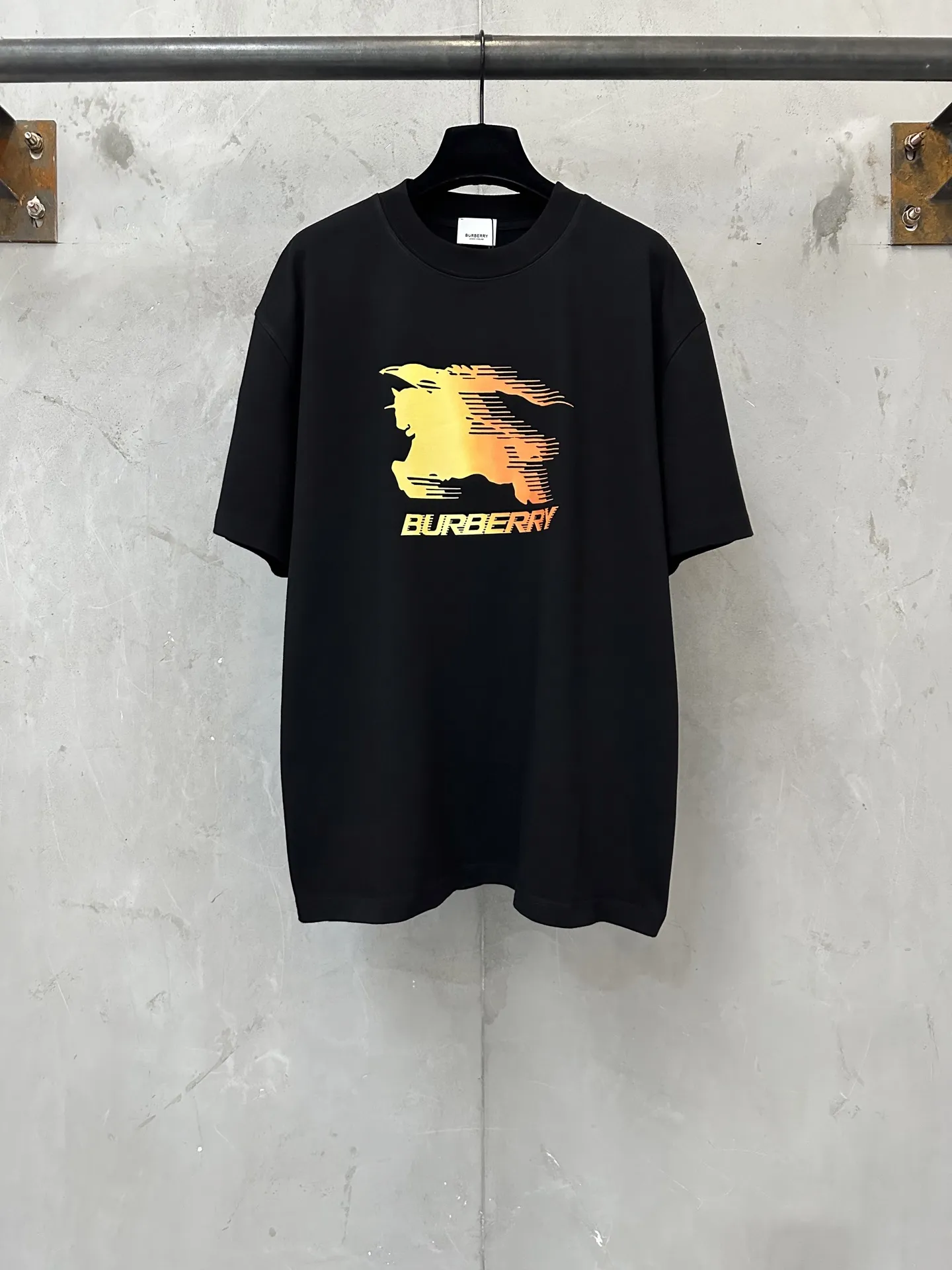 Gradient EKD Print Heavyweight Cotton T-Shirt D21018865