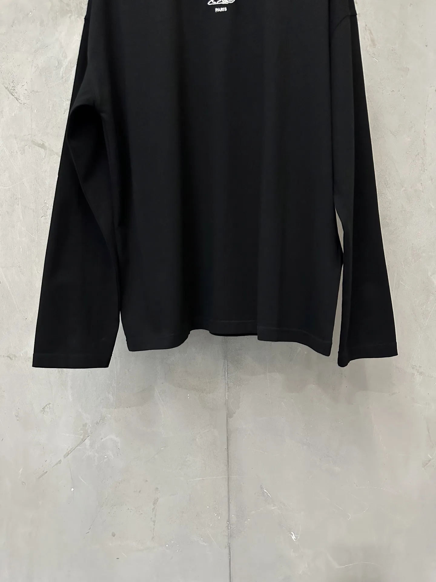 Triomphe Horse and Carriage Embroidered Long-Sleeve T-Shirt D22018848 — view 4