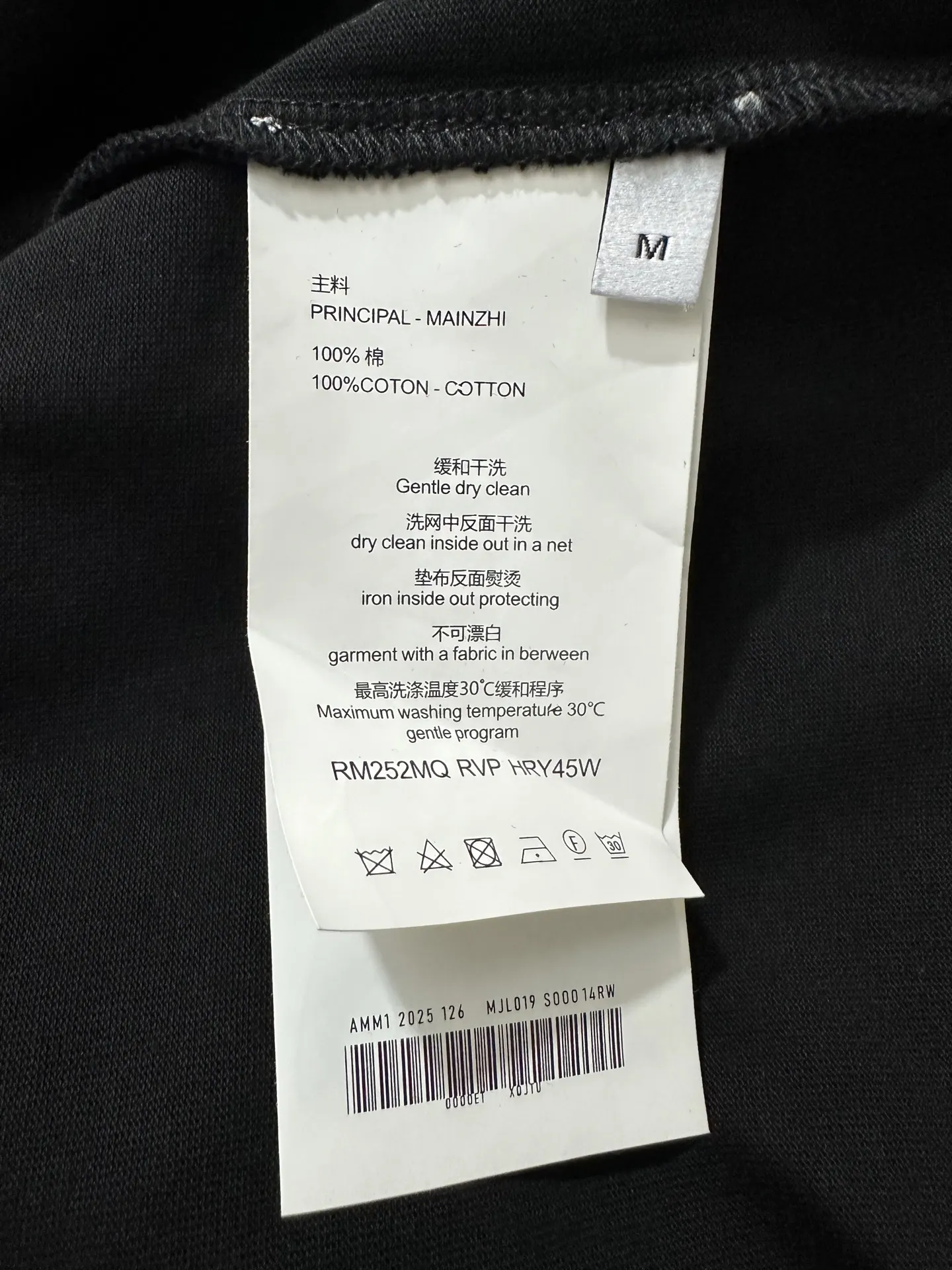 Triomphe Horse and Carriage Embroidered Long-Sleeve T-Shirt D22018848 — view 9