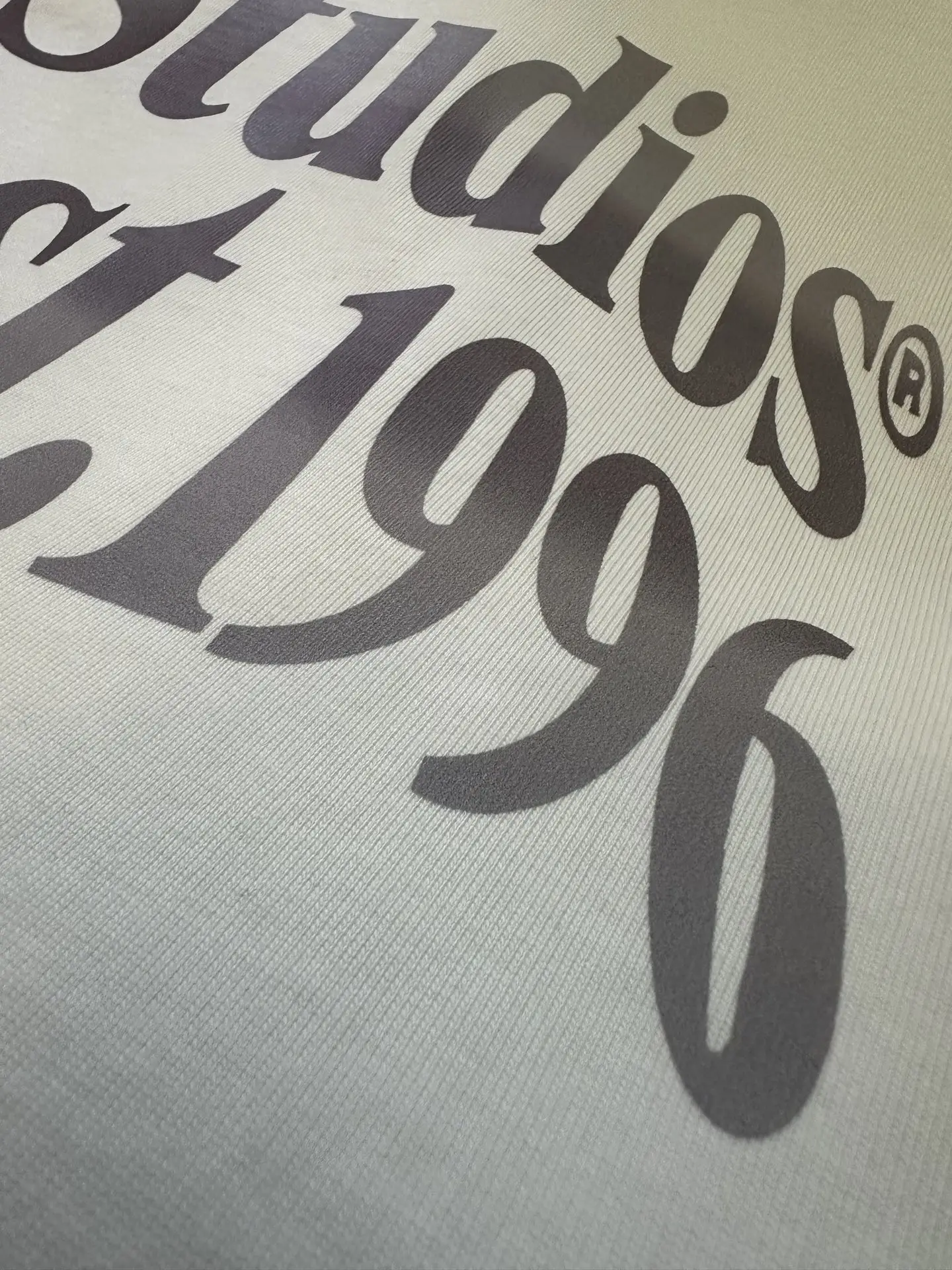 Logo Print Heavyweight Cotton T-Shirt D22012392 — view 8