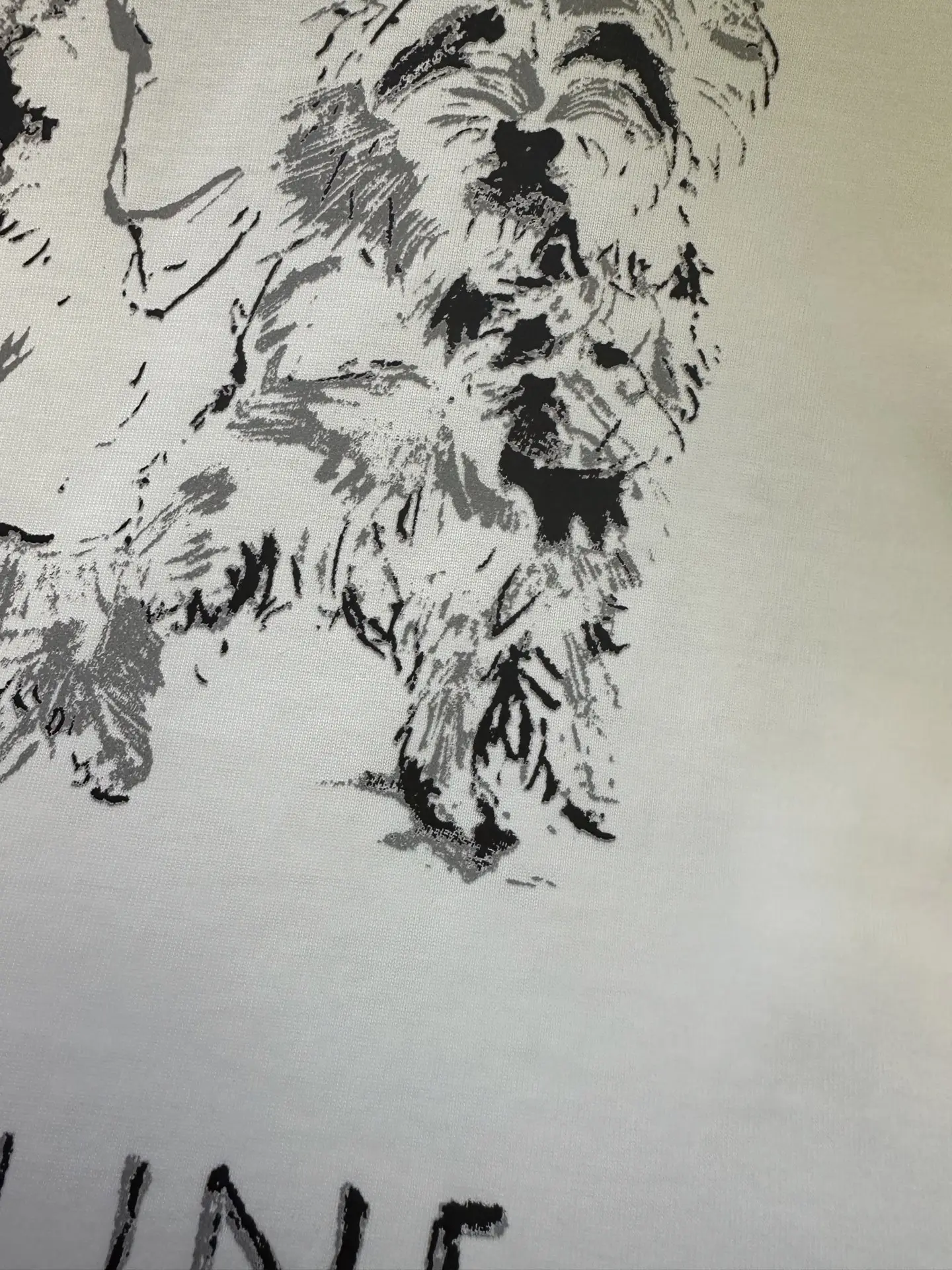 Dog Print Heavyweight Cotton T-Shirt D22012429 — view 8