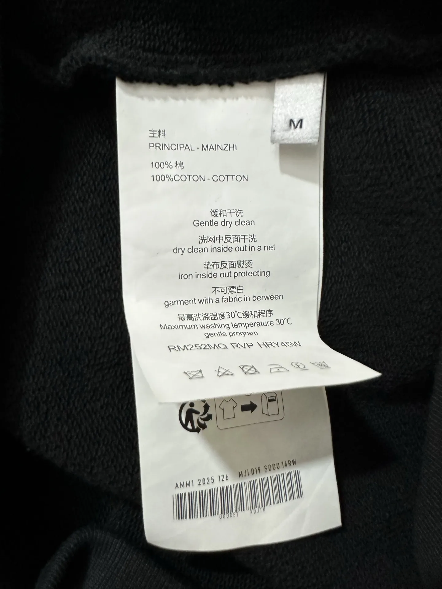 Triomphe Carriage Logo Embroidered Hoodie D28018854 — view 9