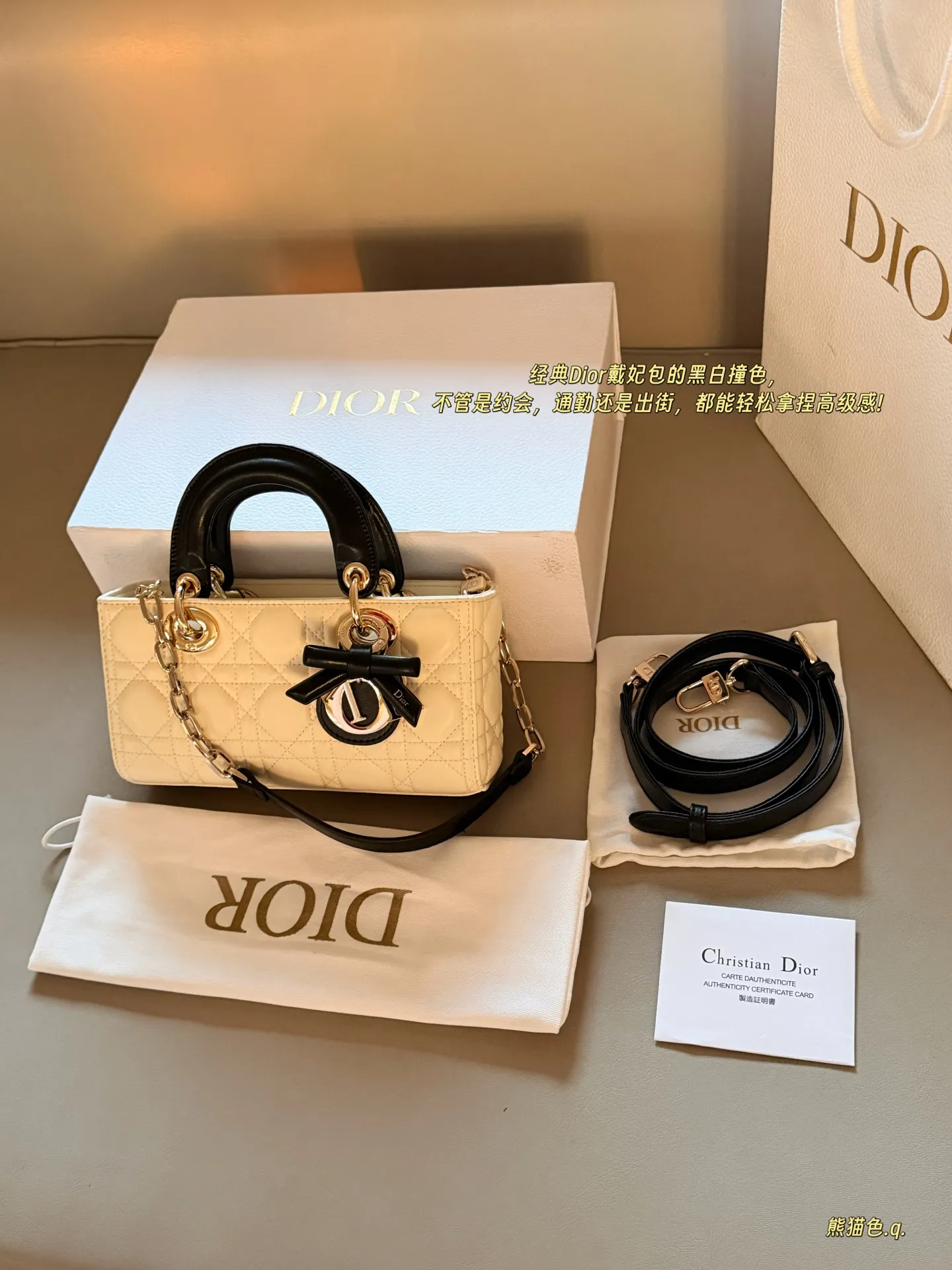 Lady Dior Horizontal Mini Bag D36018410