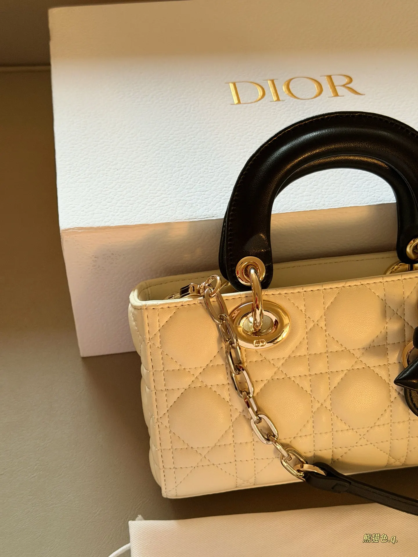 Lady Dior Horizontal Mini Bag D36018410 — view 5