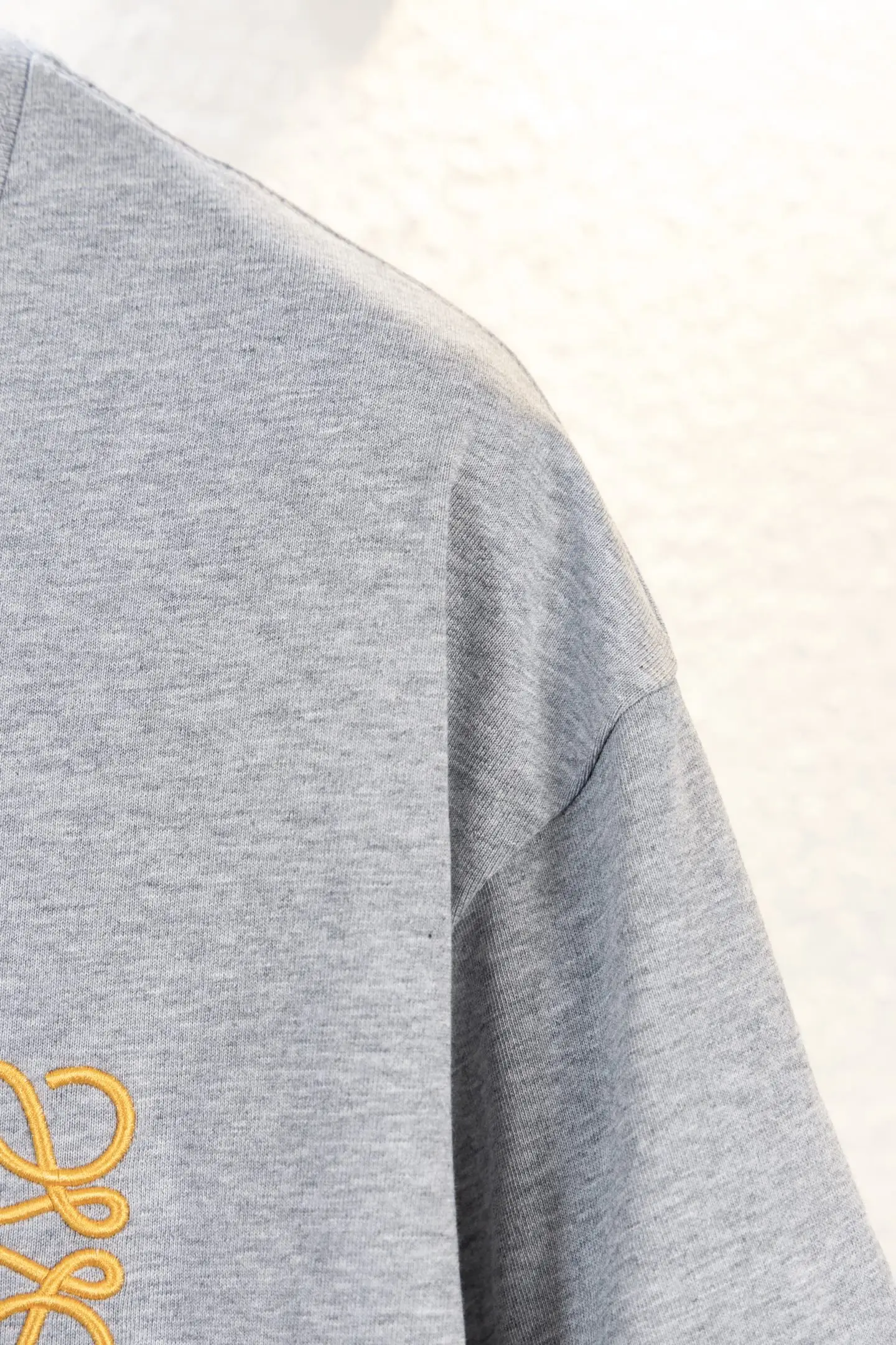 Anagram Embroidered Cotton T-Shirt D11012225 — view 5