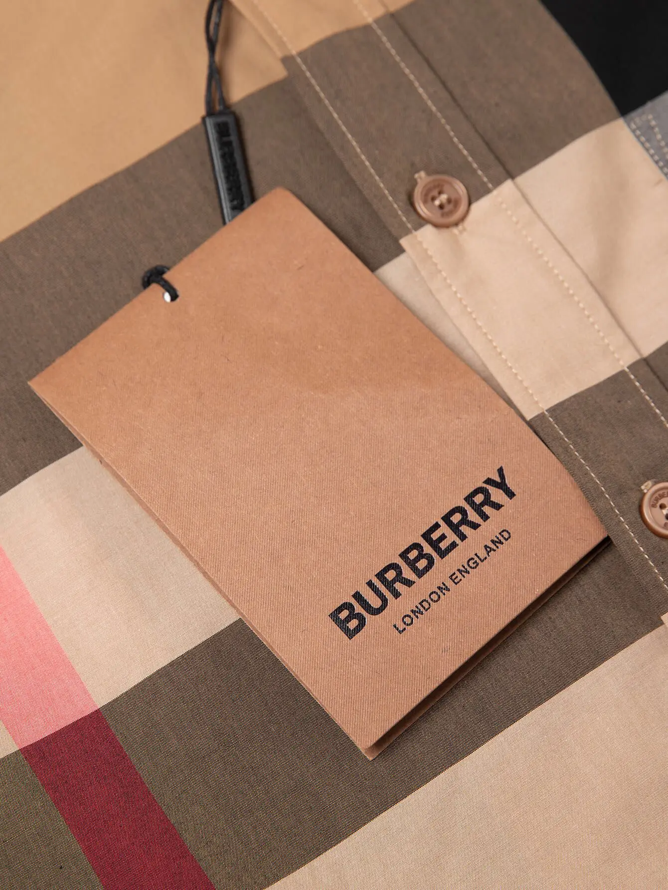 Giant Check Cotton Poplin Shirt D15015954 — view 6