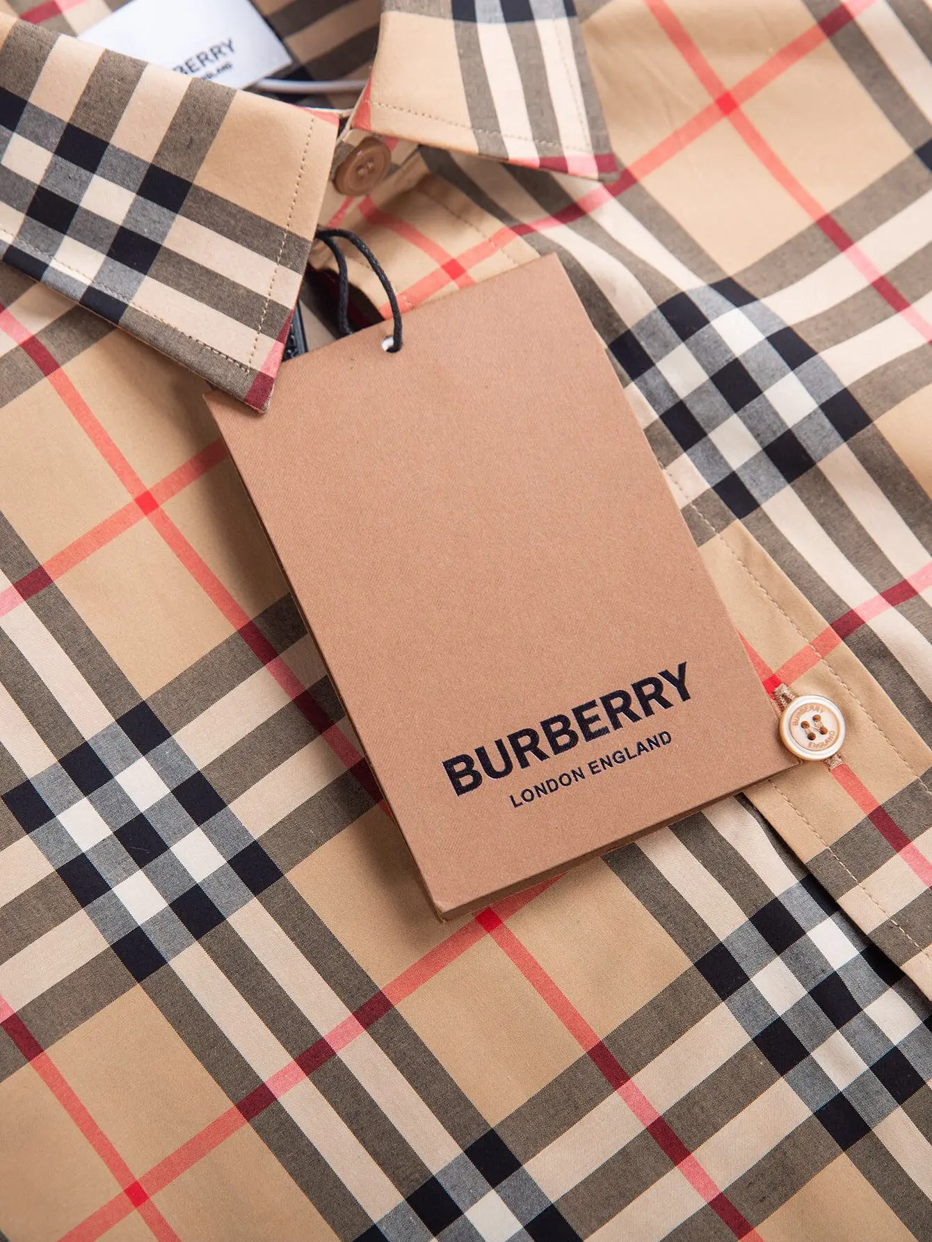 Check Cotton Poplin Shirt D15015956 — view 5