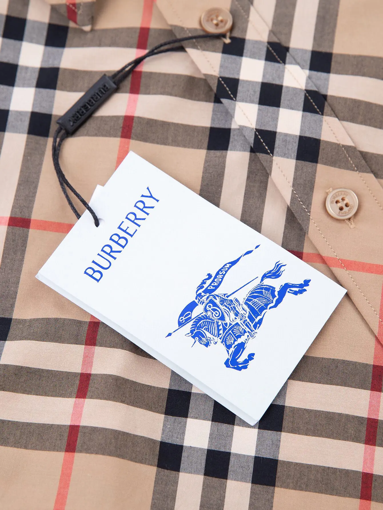 Check Cotton Twill Long-Sleeved Shirt D15515951 — view 4