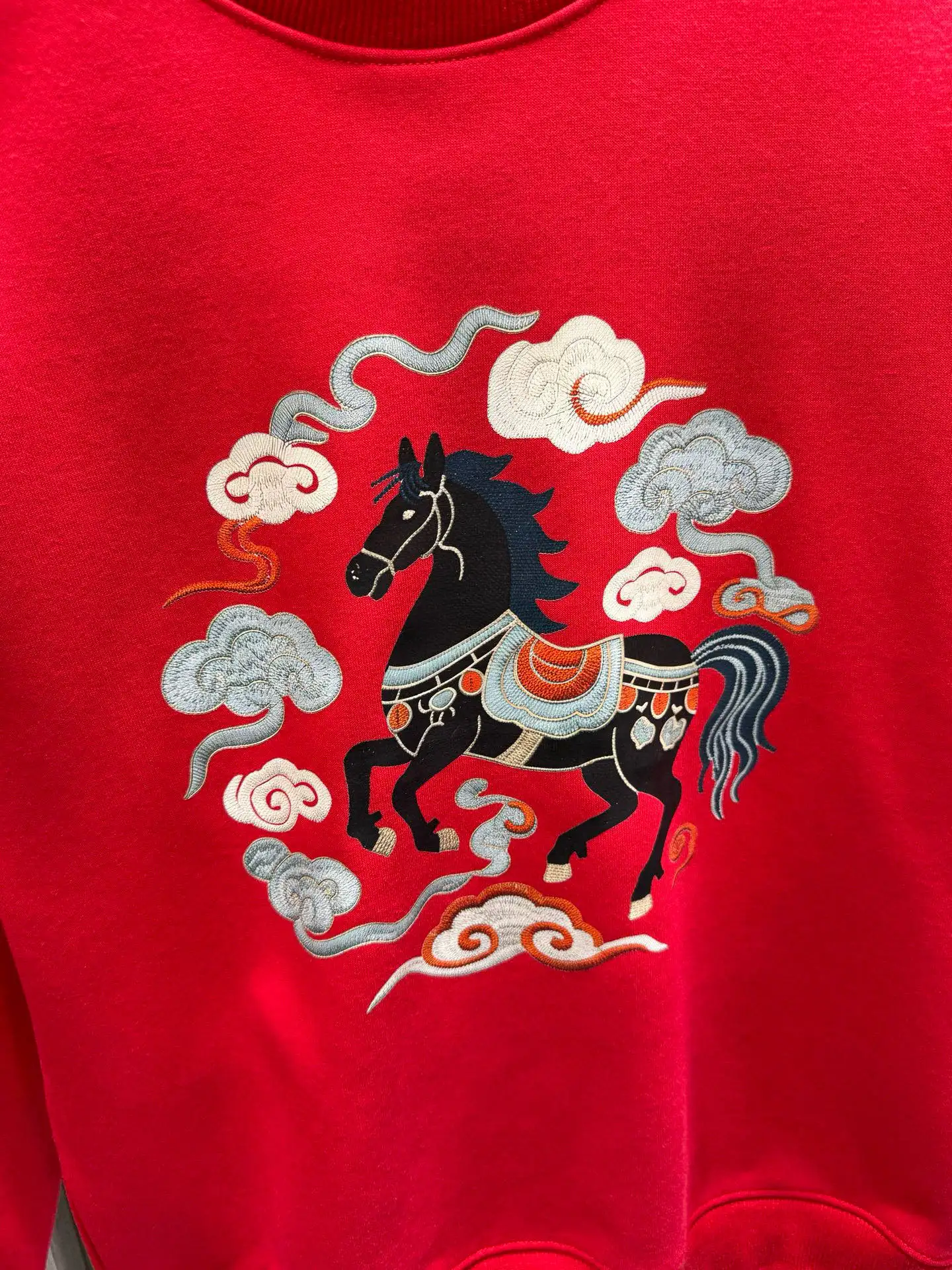 Embroidered Lunar New Year Sweatshirt D17514129 — view 6