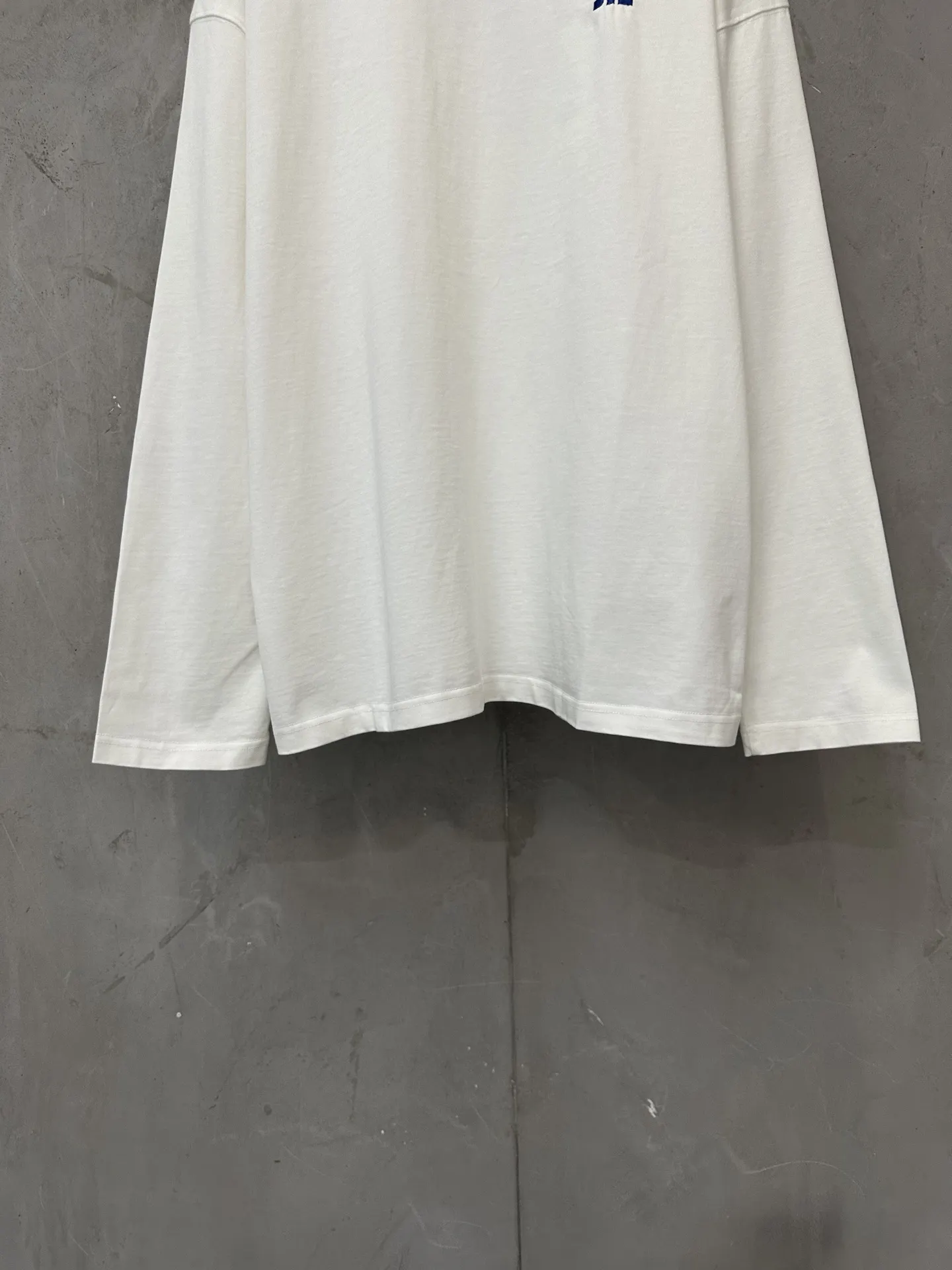 Logo Embroidered Heavyweight Long-Sleeve T-Shirt D20023728 — view 4