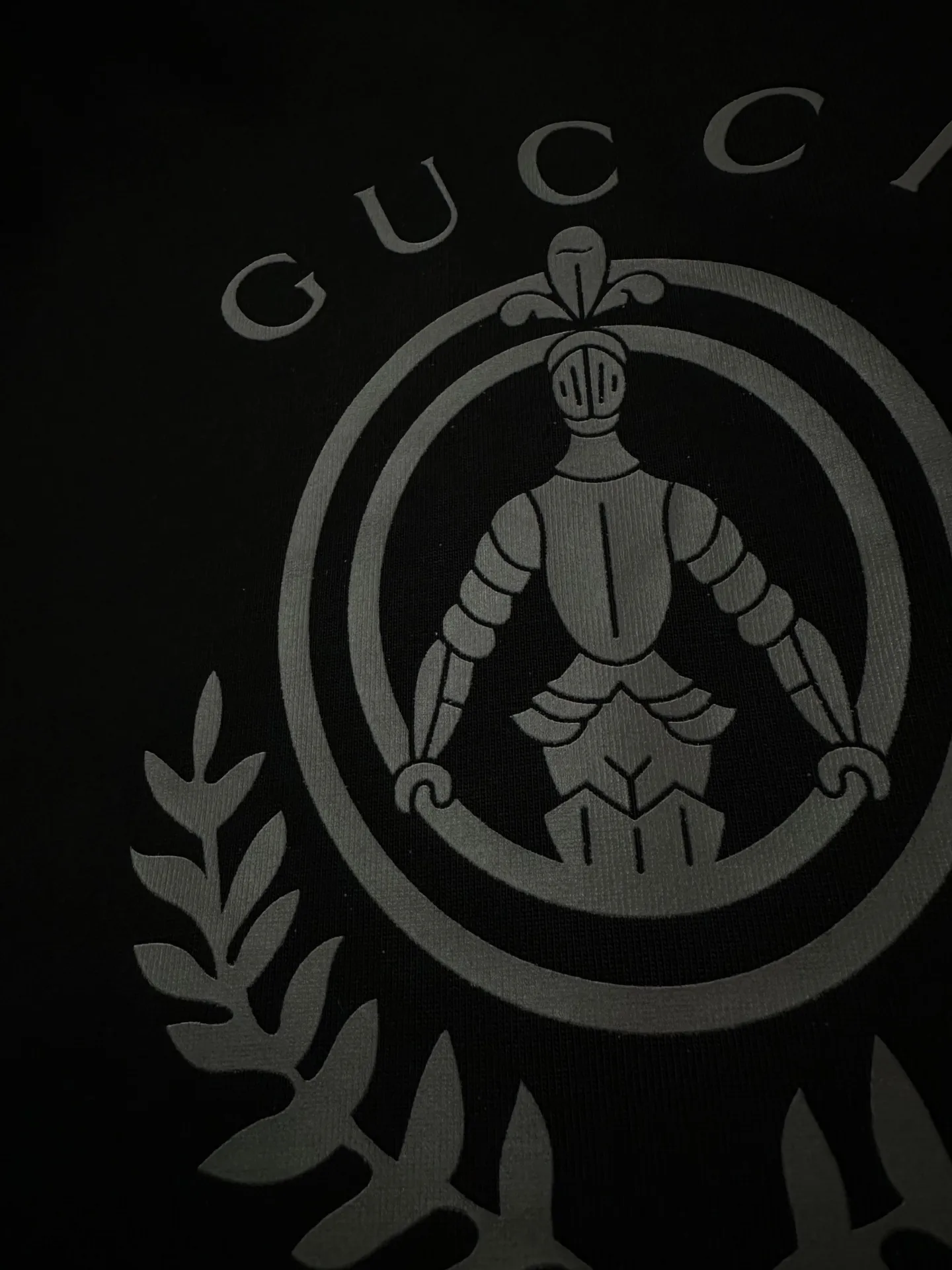 Knight Crest Heavyweight Cotton T-Shirt D20011485 — view 6