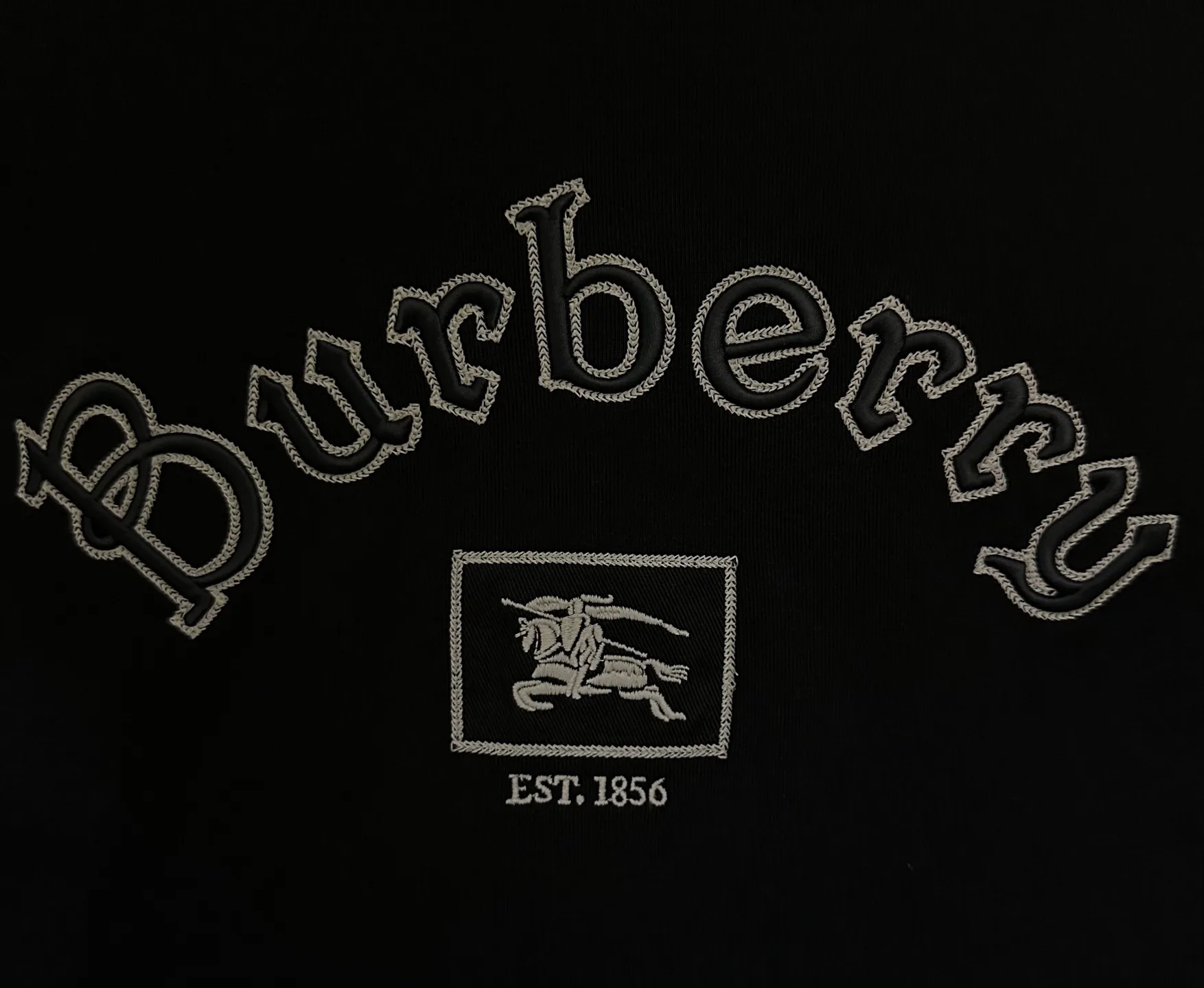 Gothic Logo Embroidered Cotton T-Shirt D21012479 — view 8