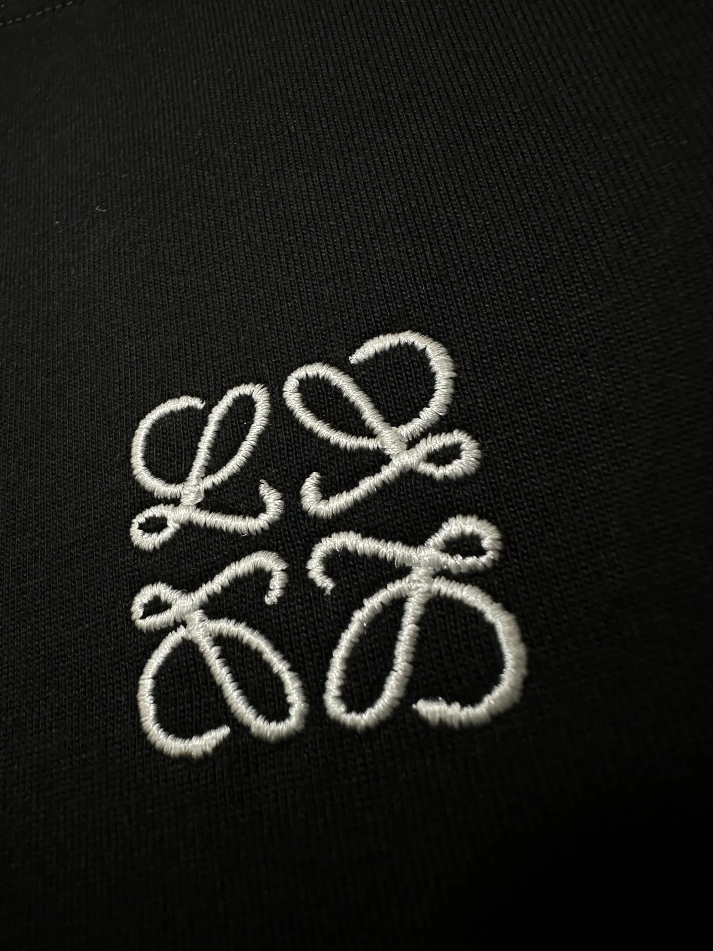 Anagram Logo Long-Sleeve T-Shirt D22022247 — view 8