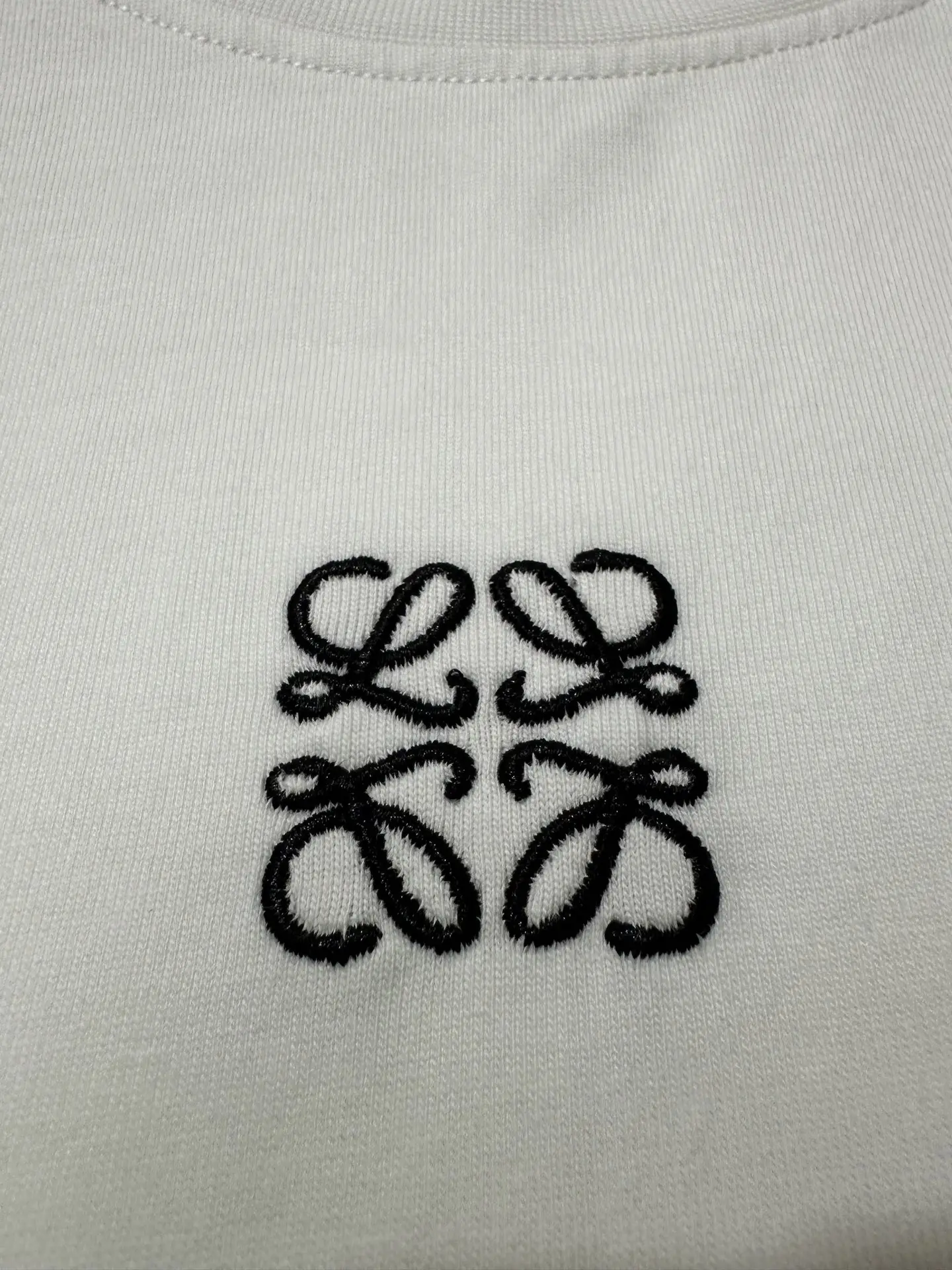 Anagram Logo Long-Sleeved T-Shirt D22022246 — view 7