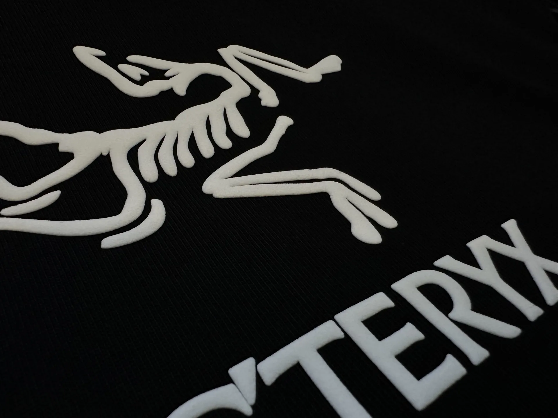Logo Print Heavyweight Cotton T-Shirt D22012341 — view 8
