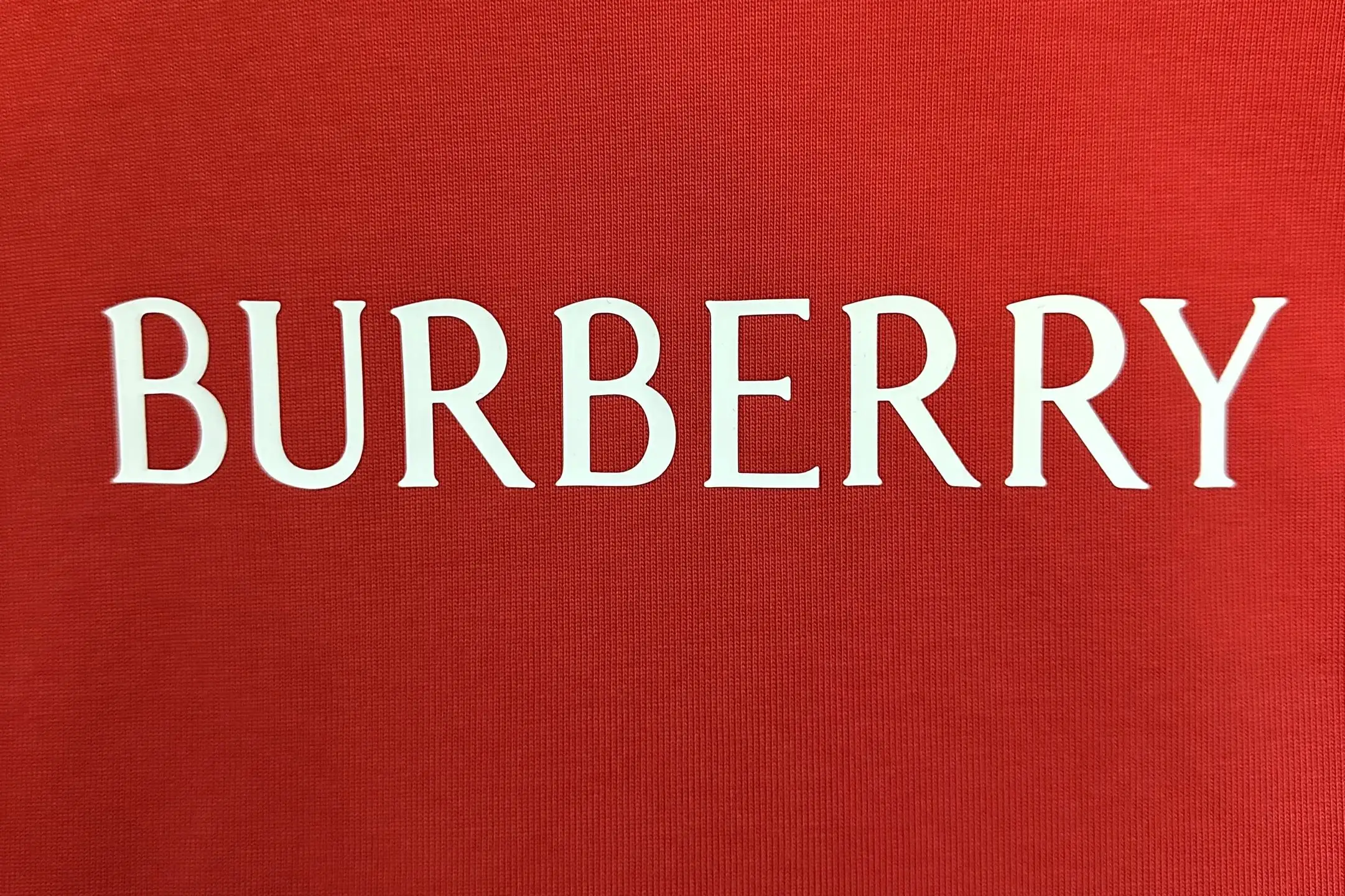 Logo Embroidered Heavyweight Cotton T-Shirt D22015283 — view 8