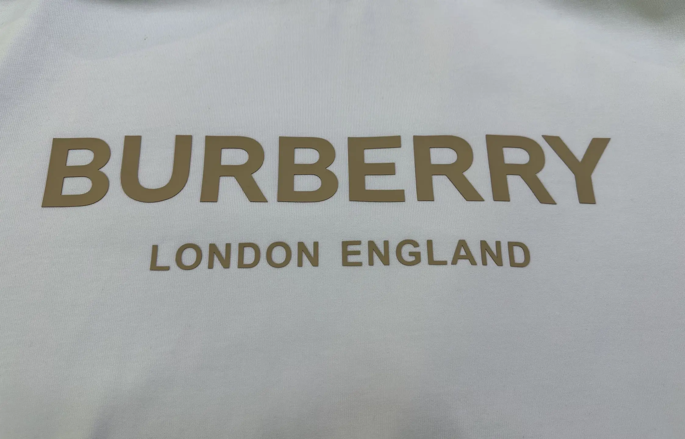 Logo Print Heavyweight Cotton T-Shirt D22012461 — view 8