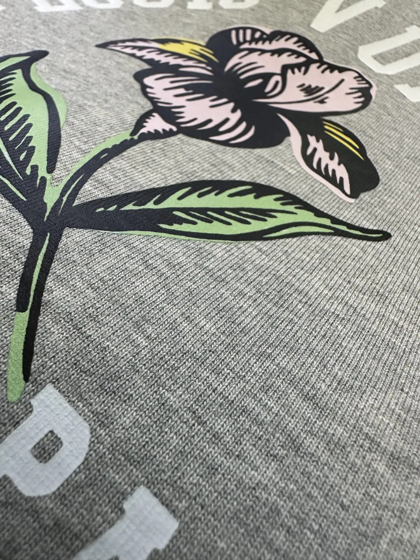 1854 Iris Graphic Heavyweight T-Shirt D22012336 — view 8