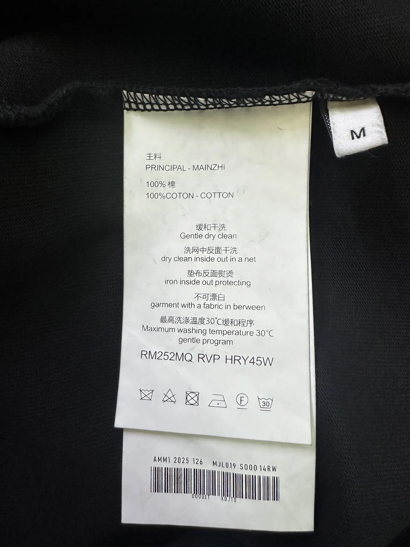Heavyweight Cotton Logo T-Shirt D22015284 — view 9