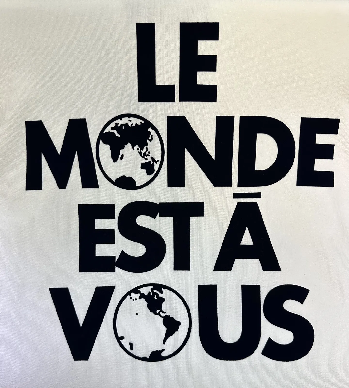 Logo Flocked Heavyweight Cotton T-Shirt D22512498 — view 8