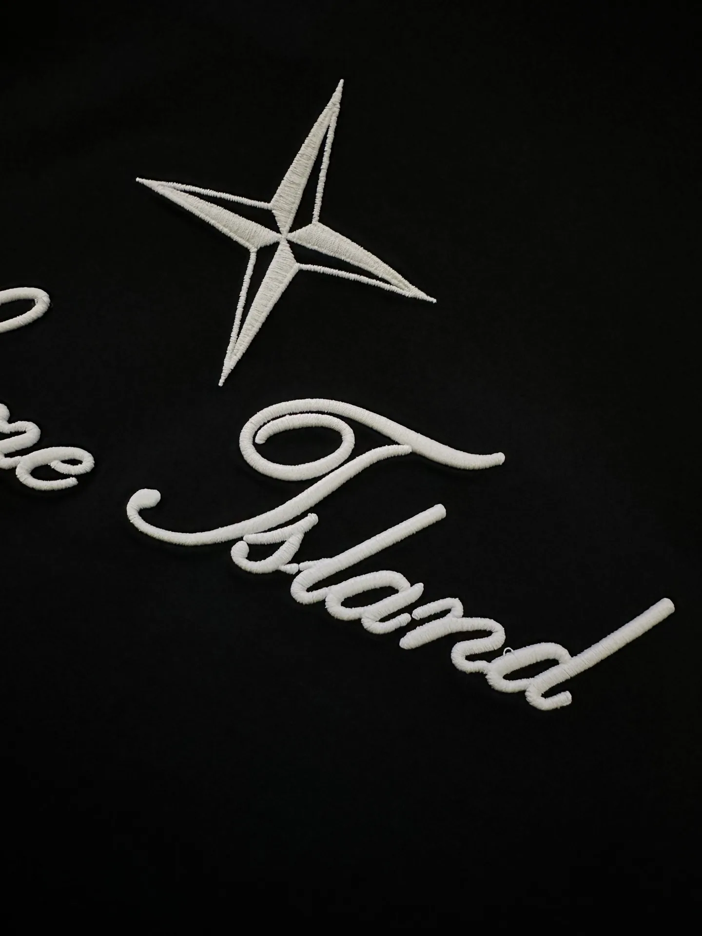 Embroidered Logo Heavyweight Cotton T-Shirt D23012418 — view 8