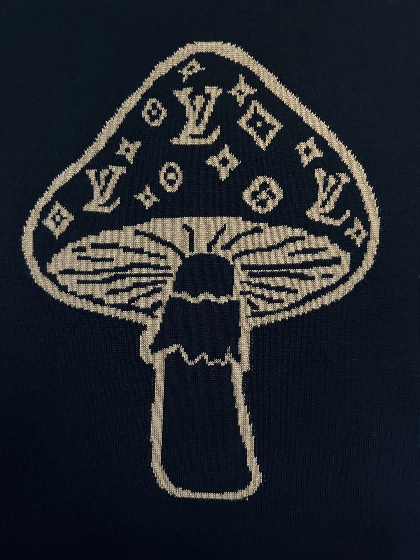 Mushroom Intarsia Knit T-Shirt D25012493 — view 8