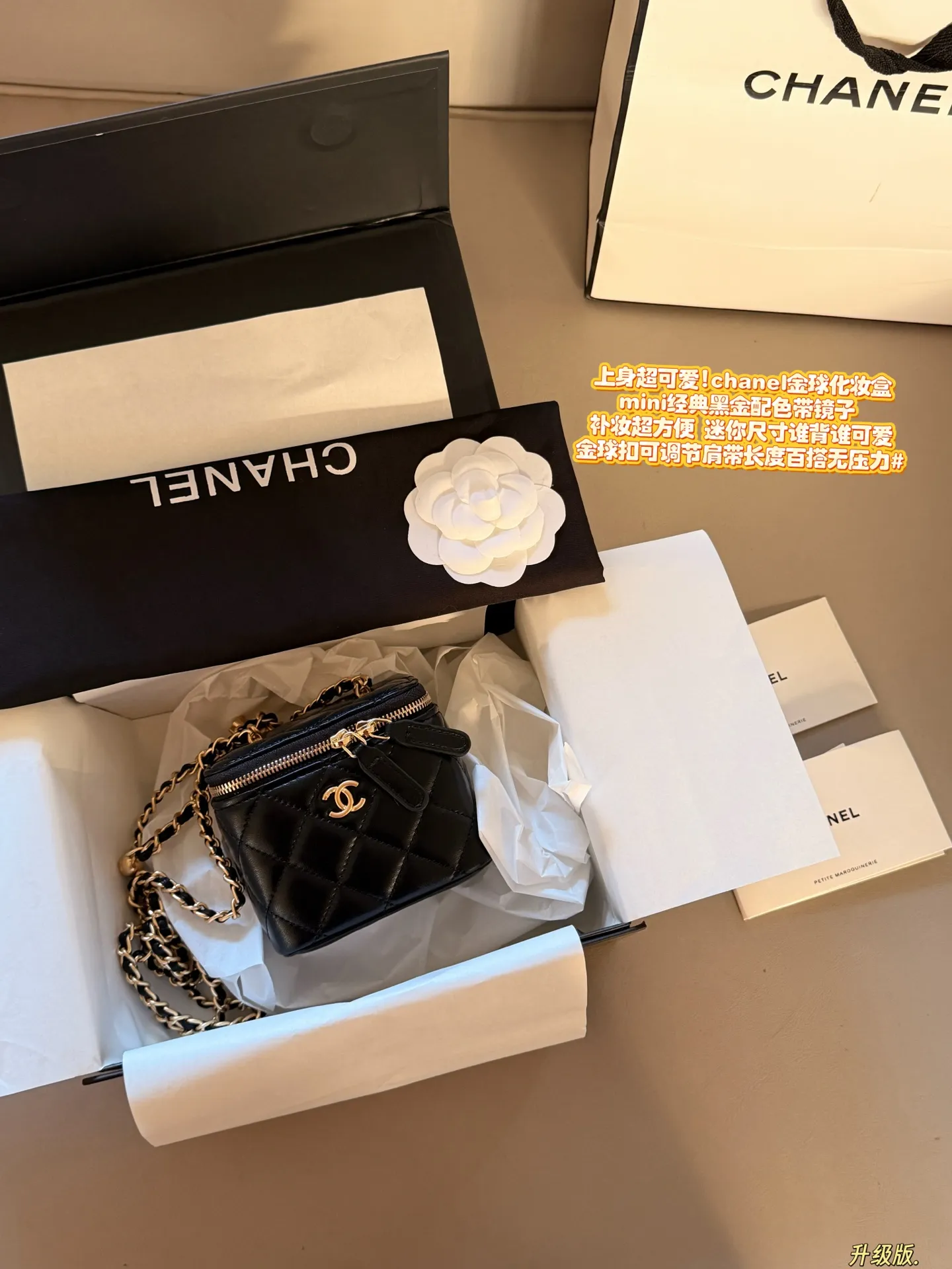 Chanel Quilted Mini Vanity Case D25518053