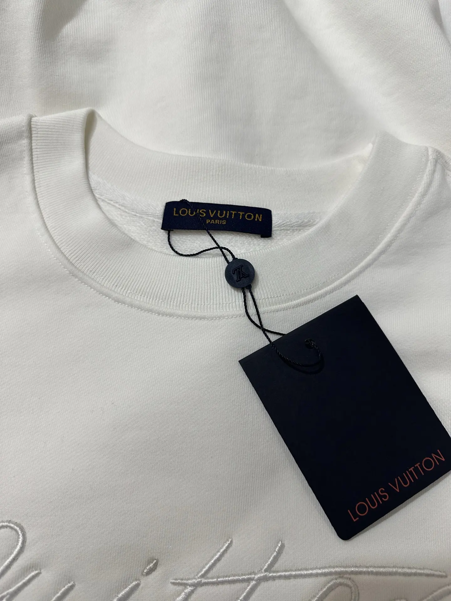 Embroidered Script Logo Crew-Neck Sweatshirt D26023136 — view 6