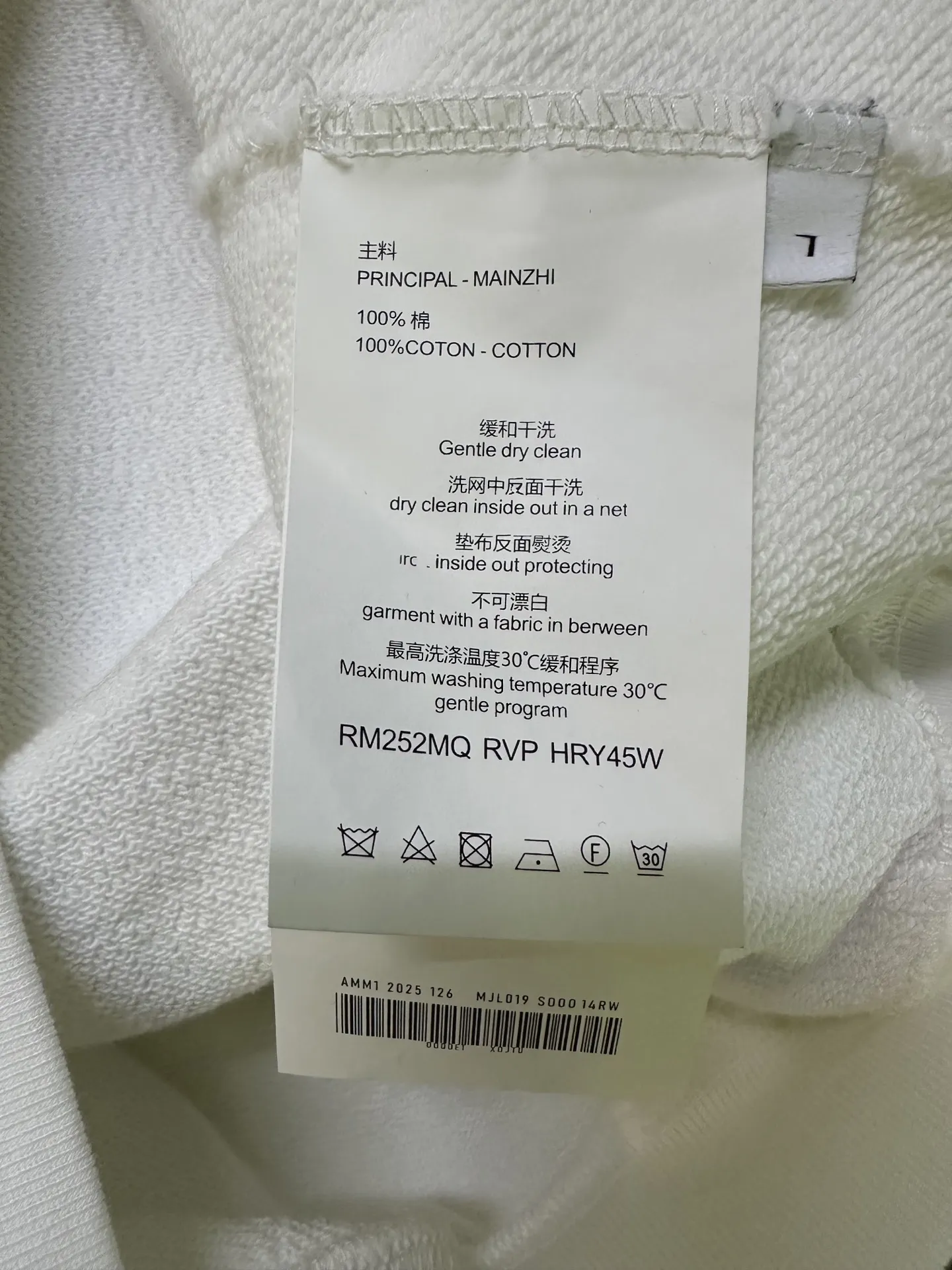 Logo Print Heavyweight Cotton Sweatshirt D26022235 — view 9