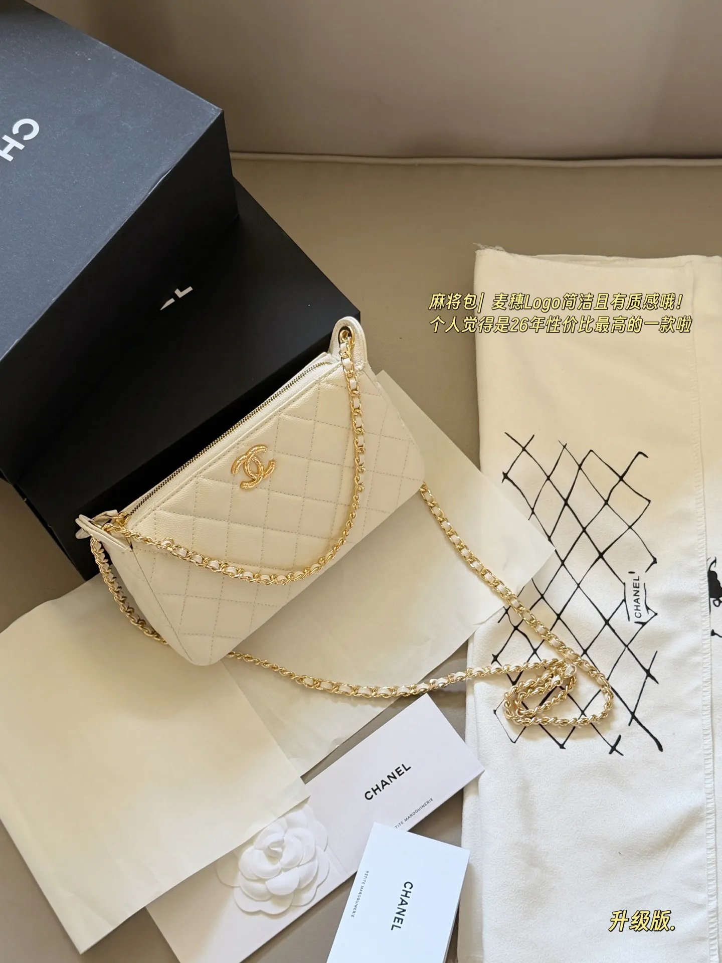 Quilted Leather Chain Shoulder Bag D27518305 — view 10