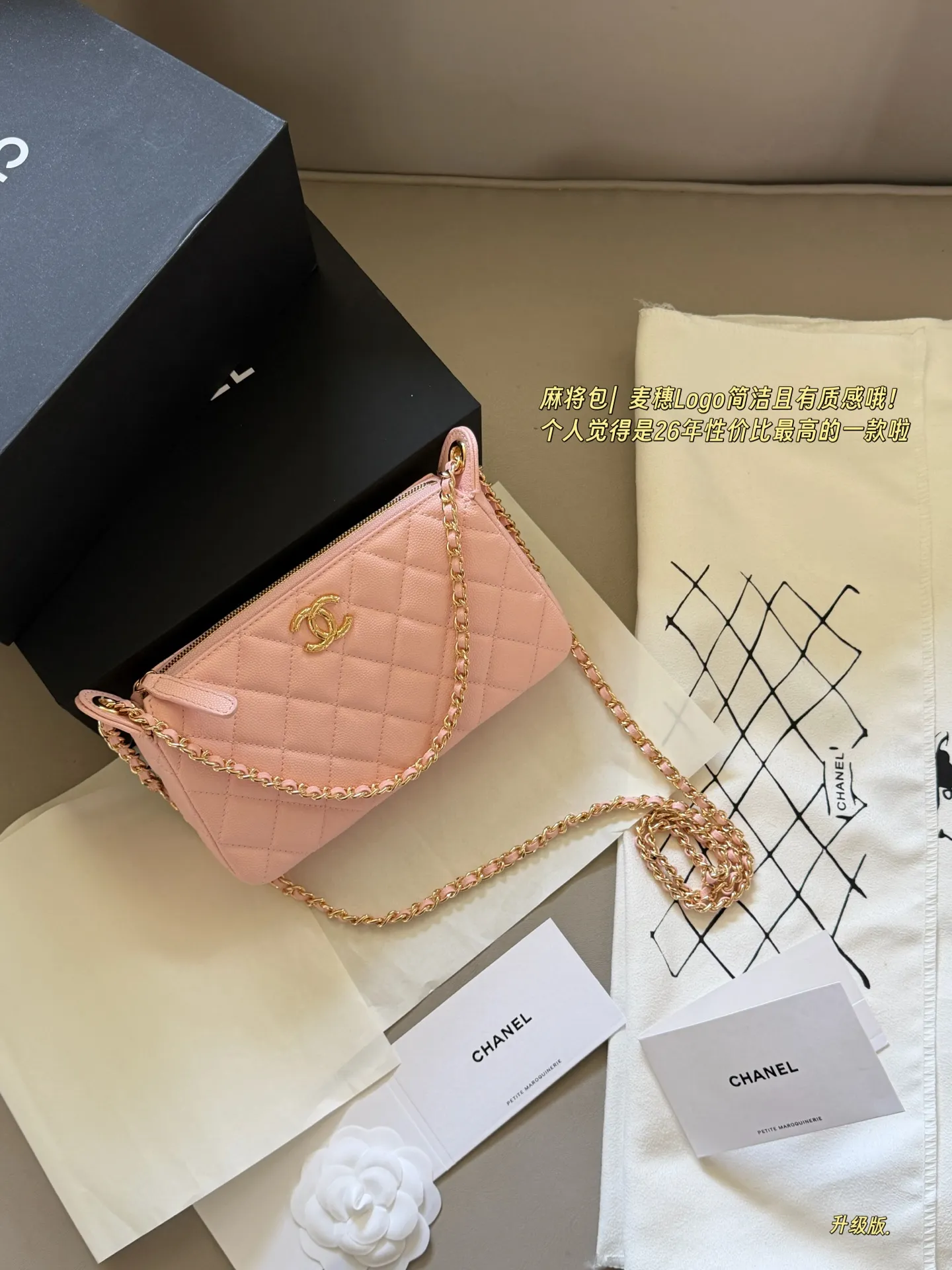 Quilted Leather Chain Shoulder Bag D27518305 — view 19