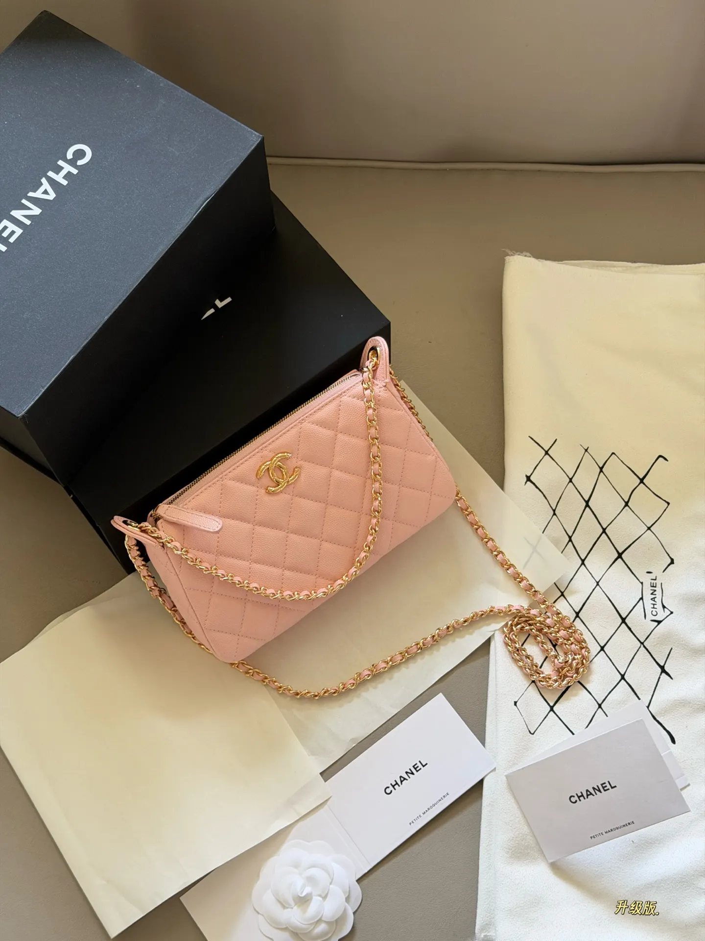 Quilted Leather Chain Shoulder Bag D27518305 — view 23