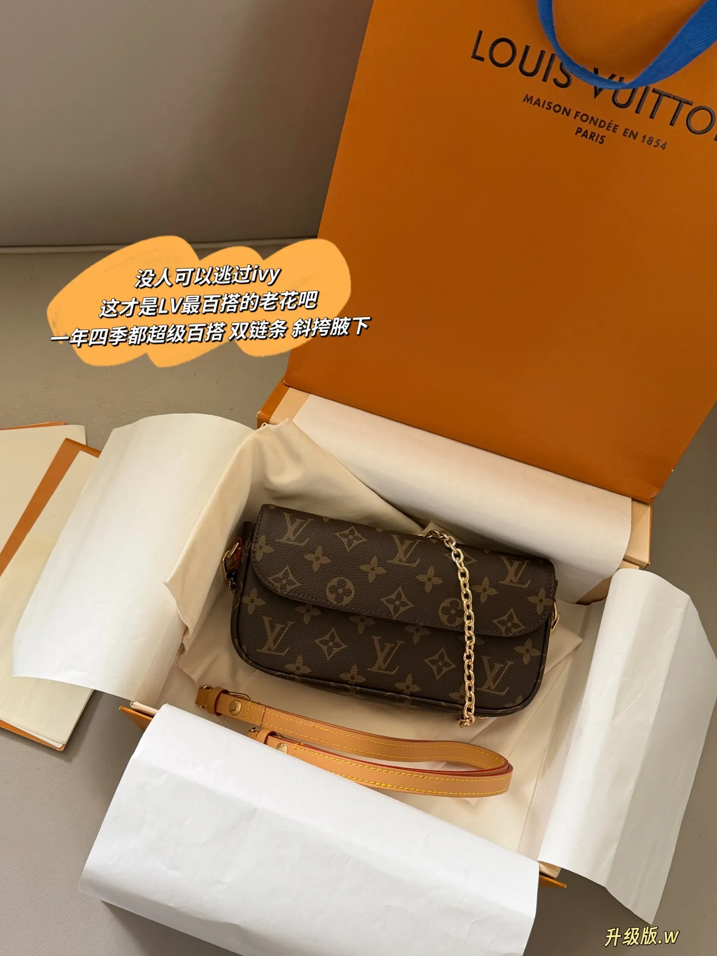 Ivy Monogram Canvas Multi Pochette Bag D27518249