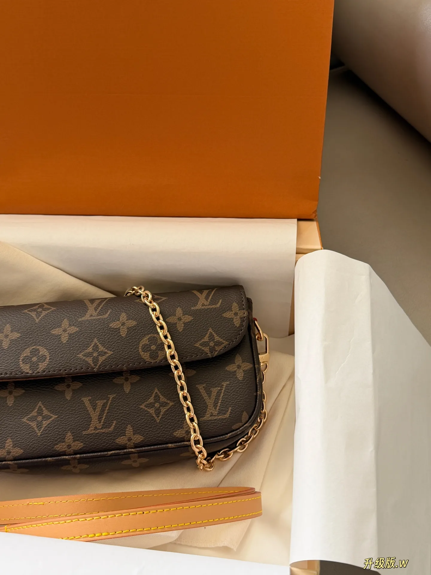 Ivy Monogram Canvas Multi Pochette Bag D27518249 — view 3