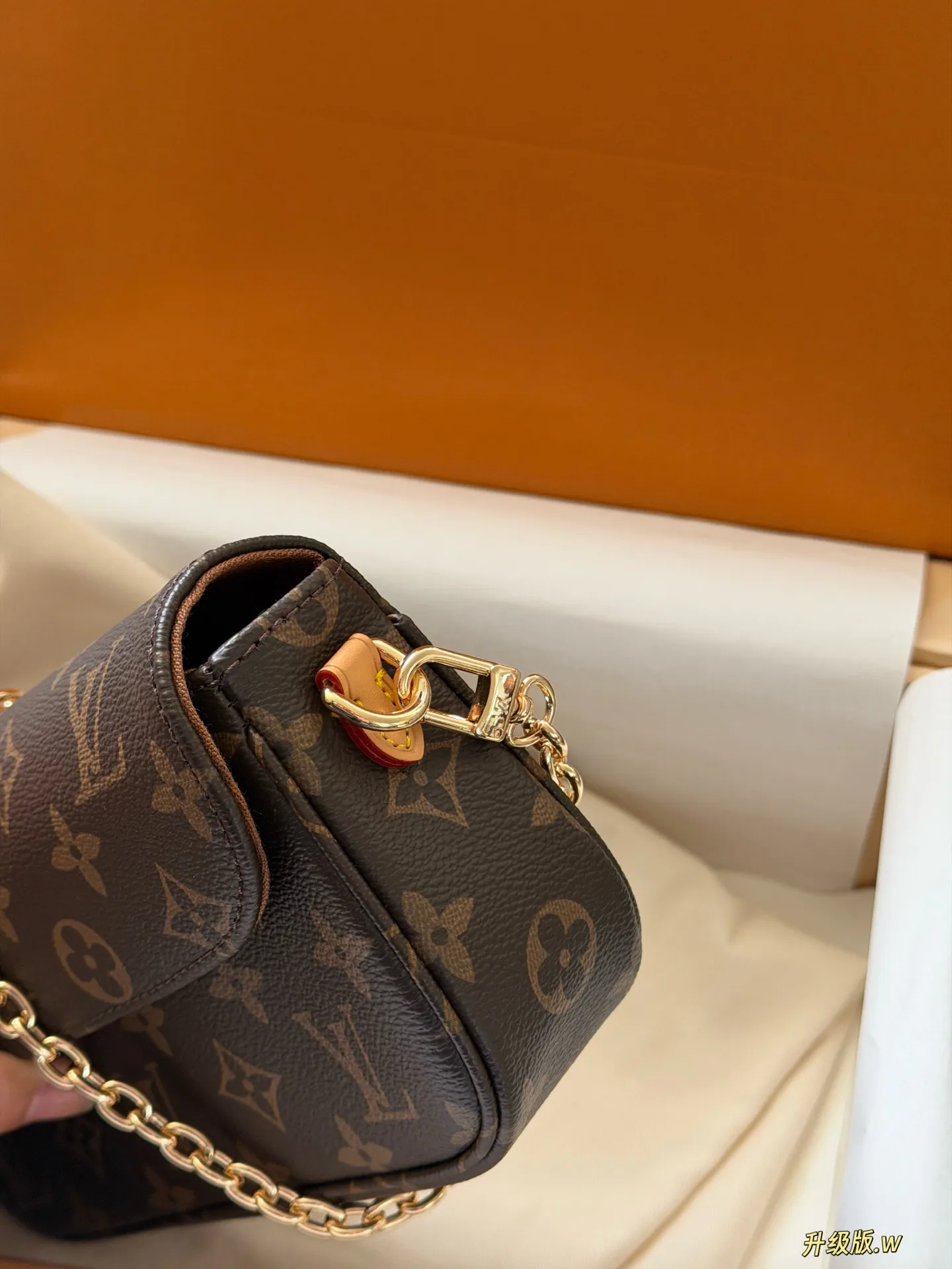 Ivy Monogram Canvas Multi Pochette Bag D27518249 — view 4