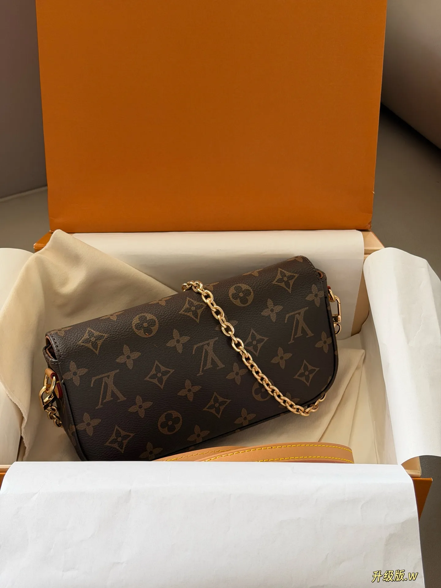 Ivy Monogram Canvas Multi Pochette Bag D27518249 — view 5