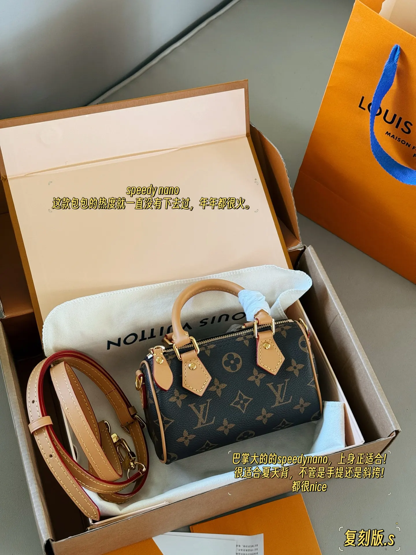 Speedy Nano Monogram Canvas Bag D28017935