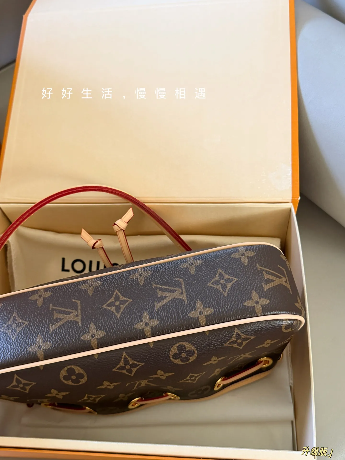 Monogram Canvas Bucket Bag D28518484 — view 5