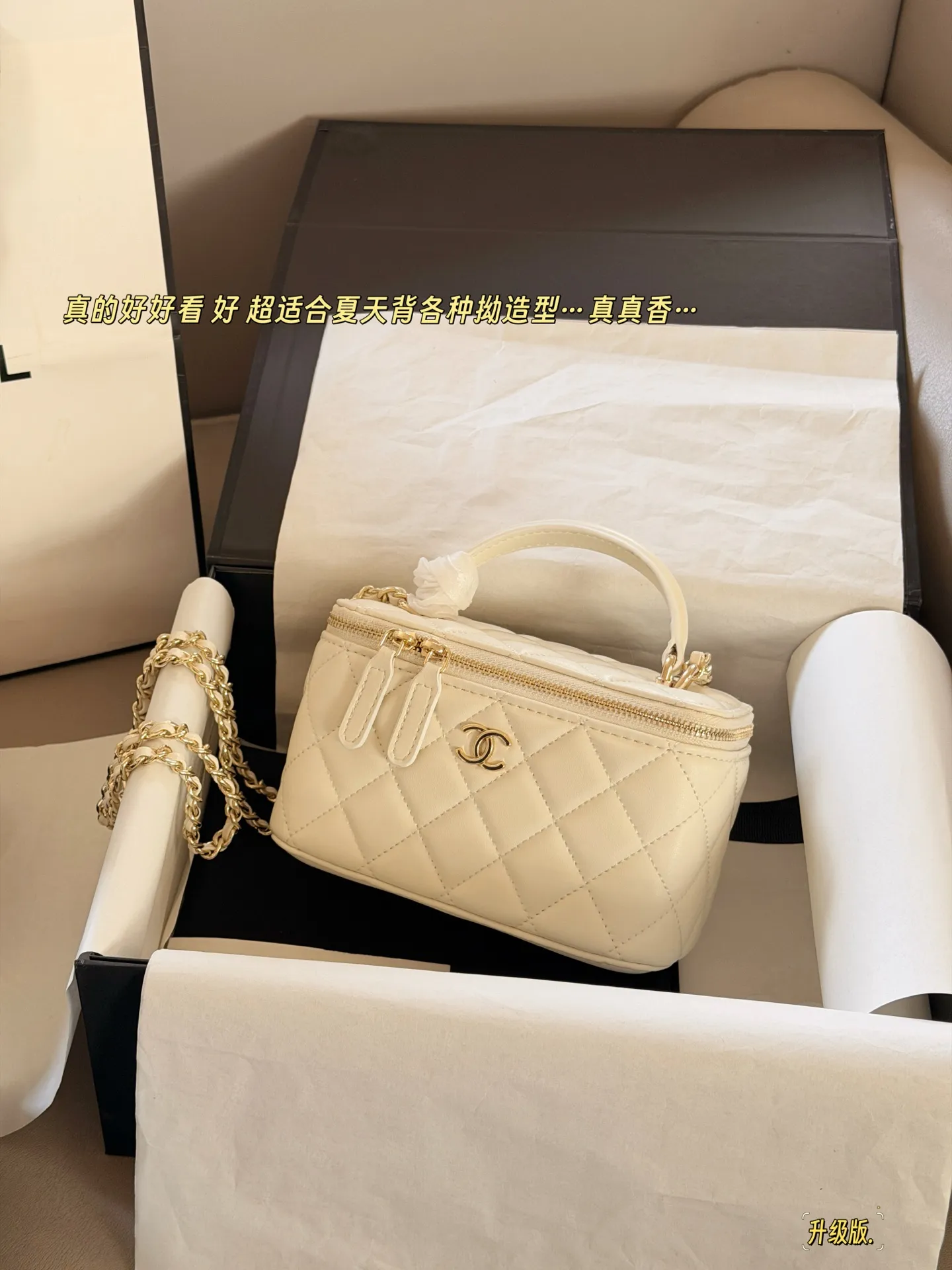 Chanel Quilted Vanity Case Bag D28518104 — view 10