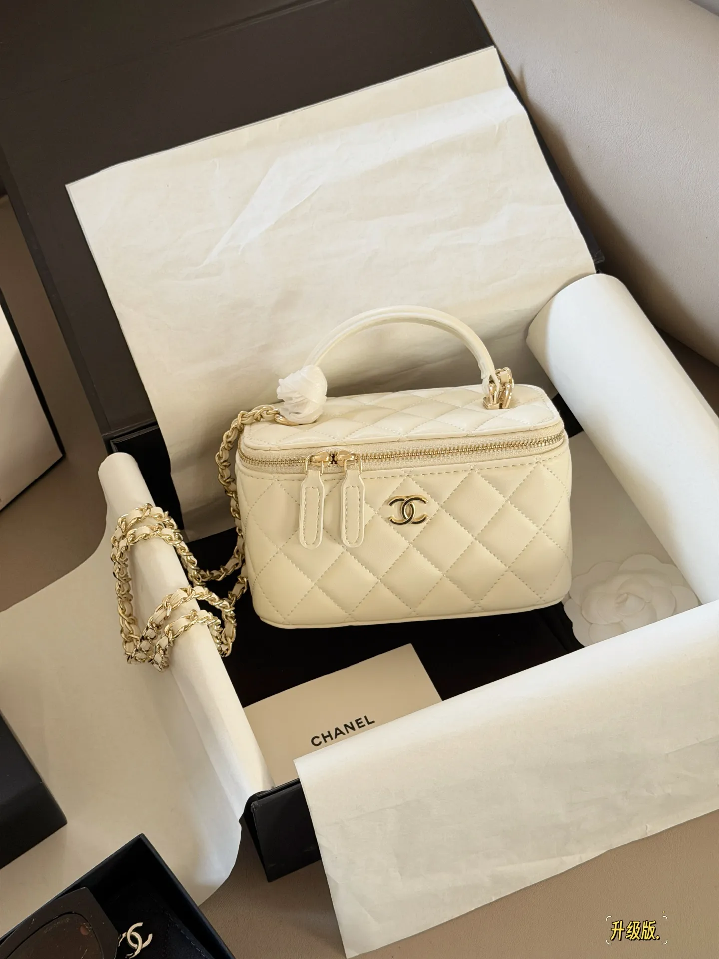 Chanel Quilted Vanity Case Bag D28518104 — view 11
