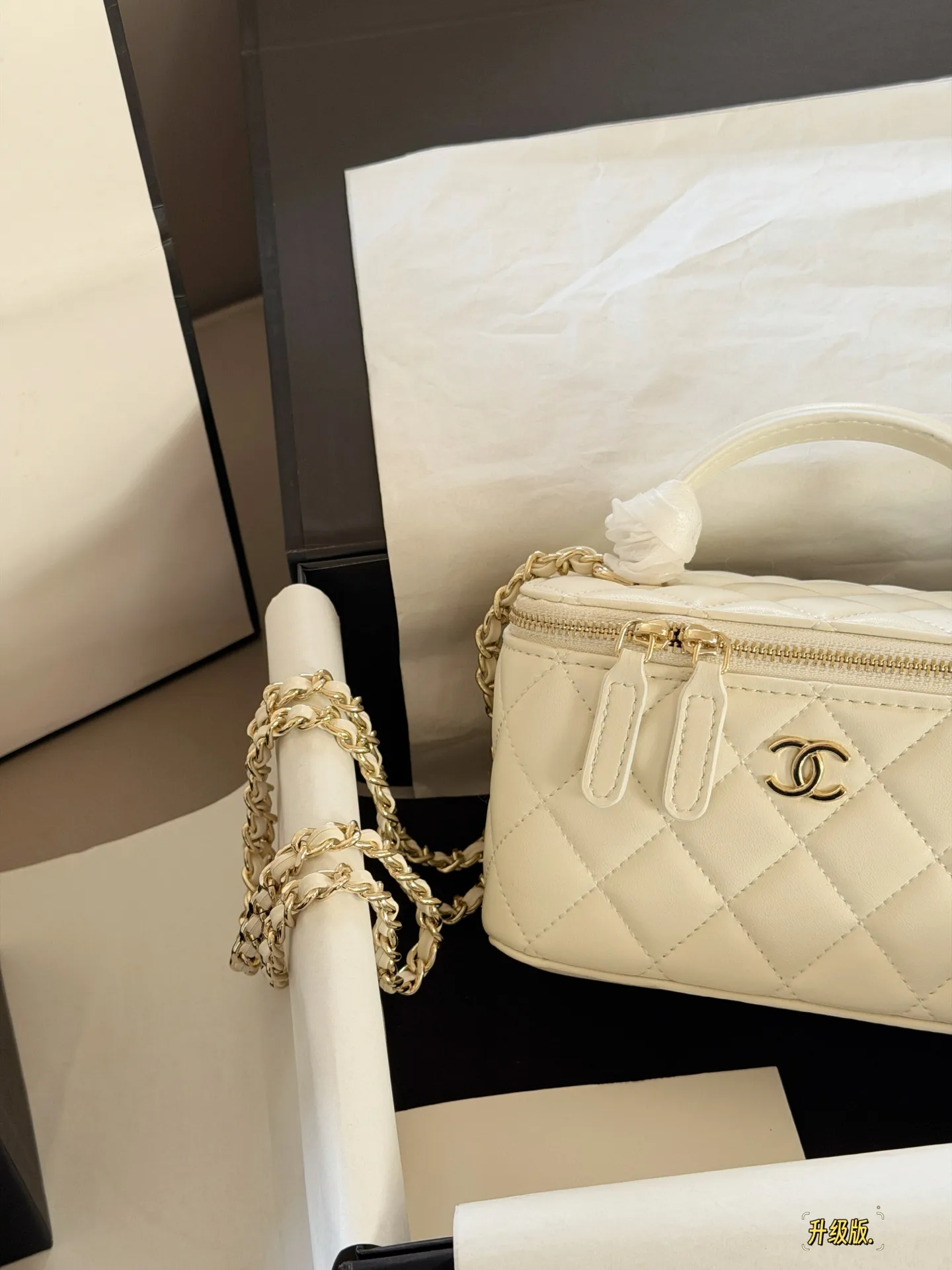 Chanel Quilted Vanity Case Bag D28518104 — view 12