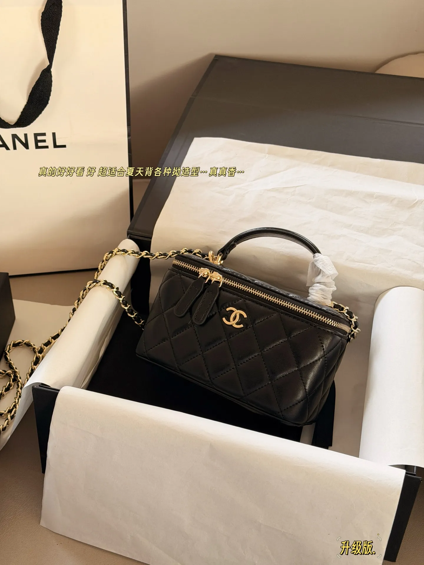Chanel Quilted Vanity Case Bag D28518104
