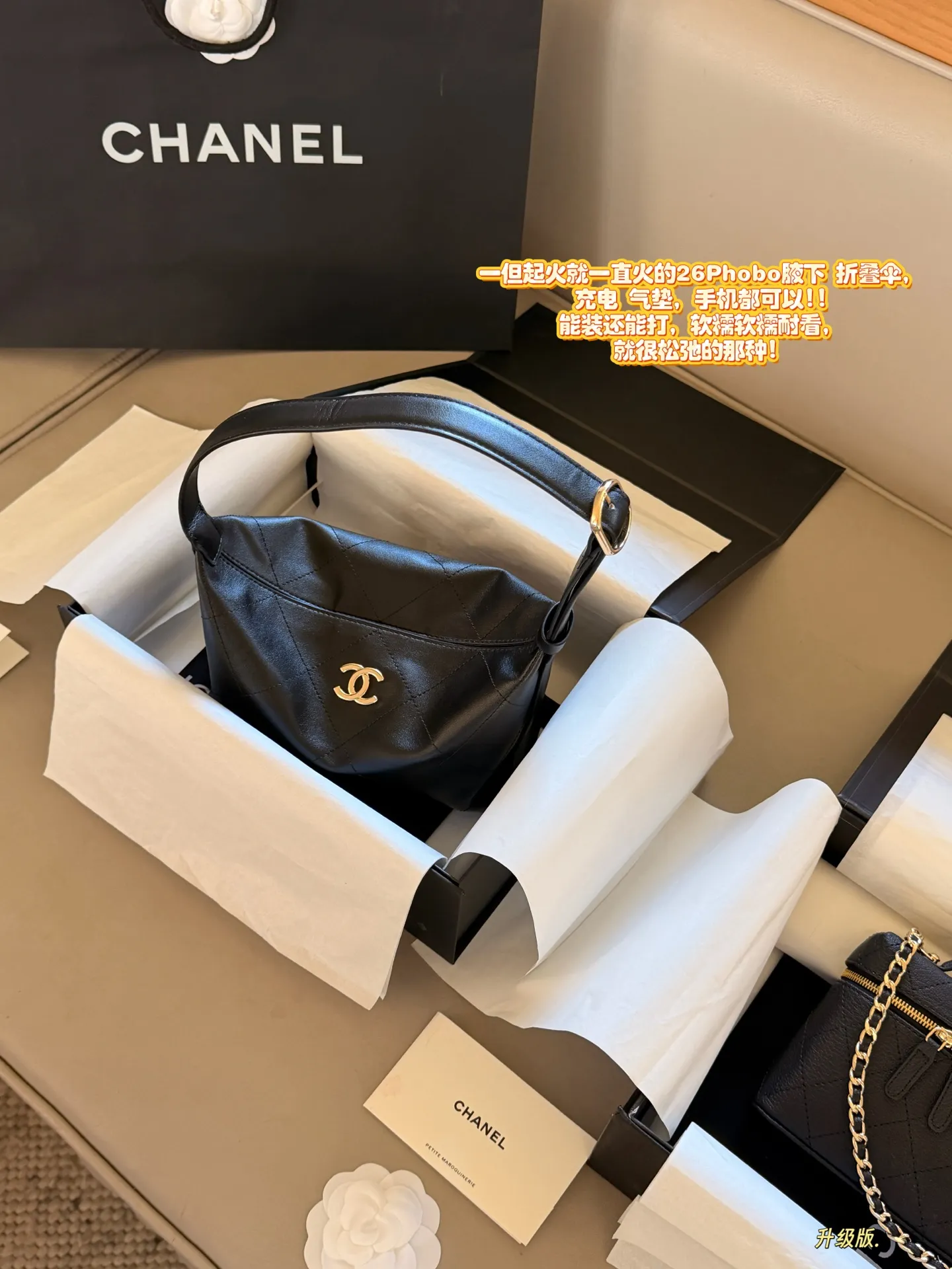 Chanel Hobo Shoulder Bag D28517873
