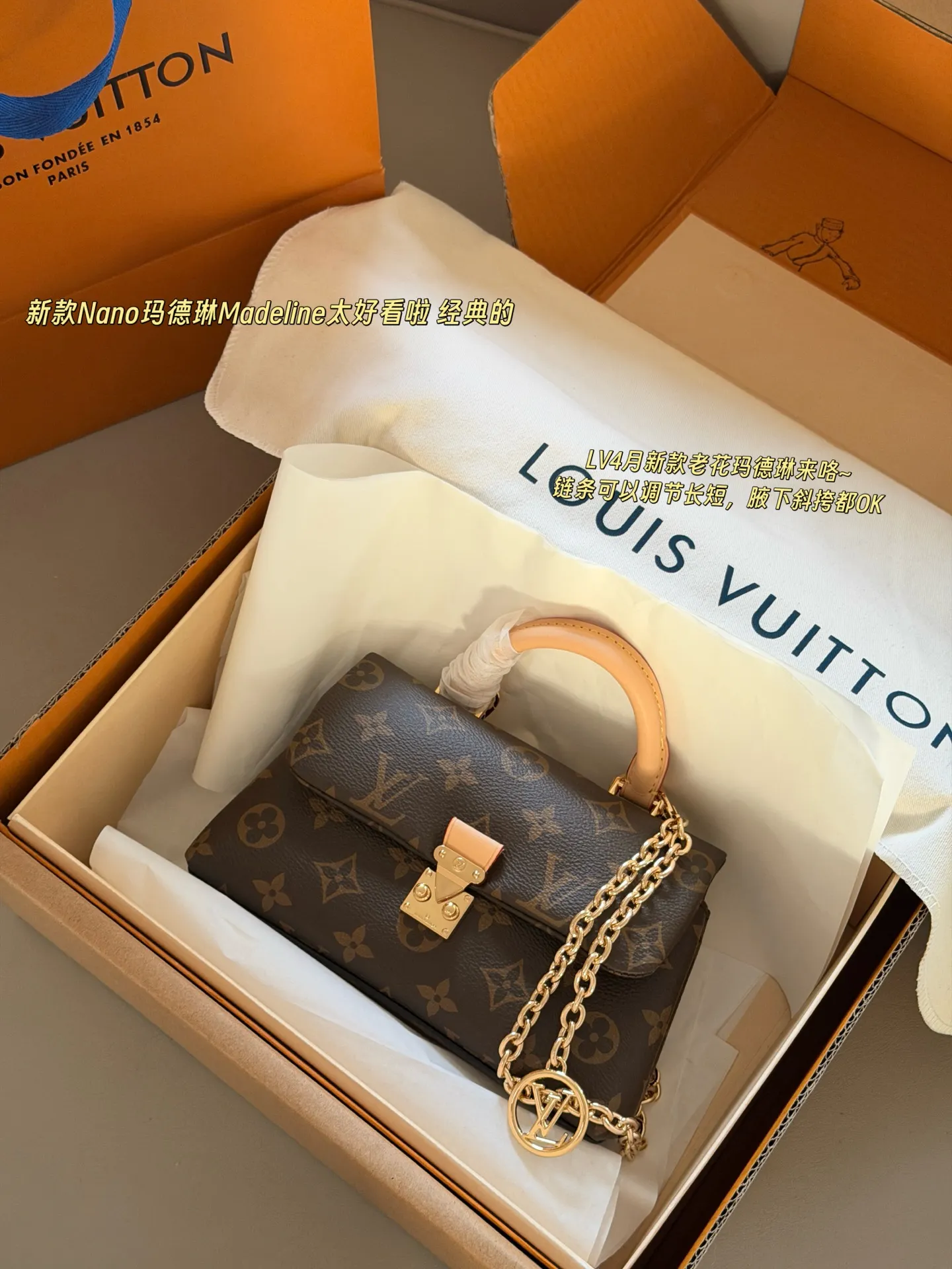 Nano Madeline Monogram Top-Handle Bag D30017989